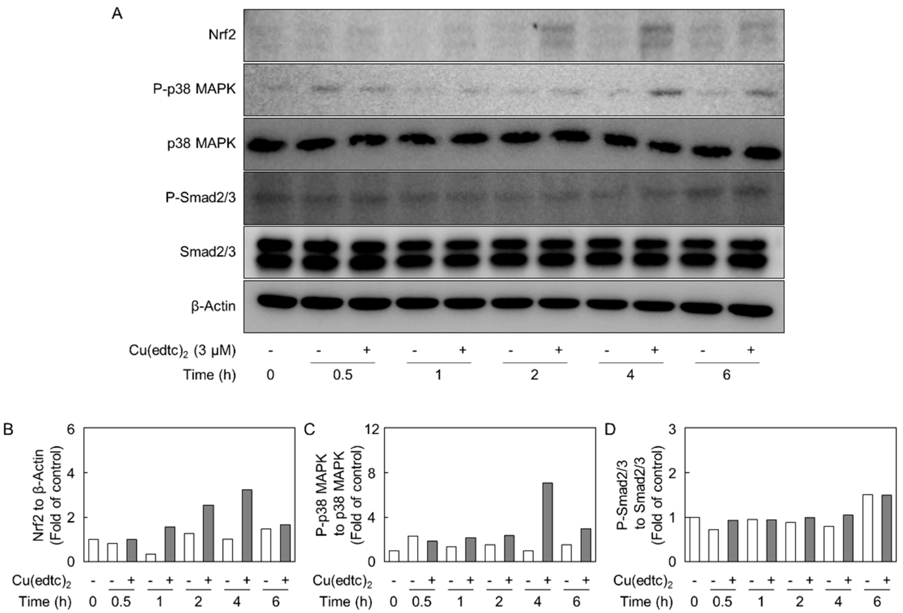 Ijms 19 03302 g005 Ijms 19 03302 g005