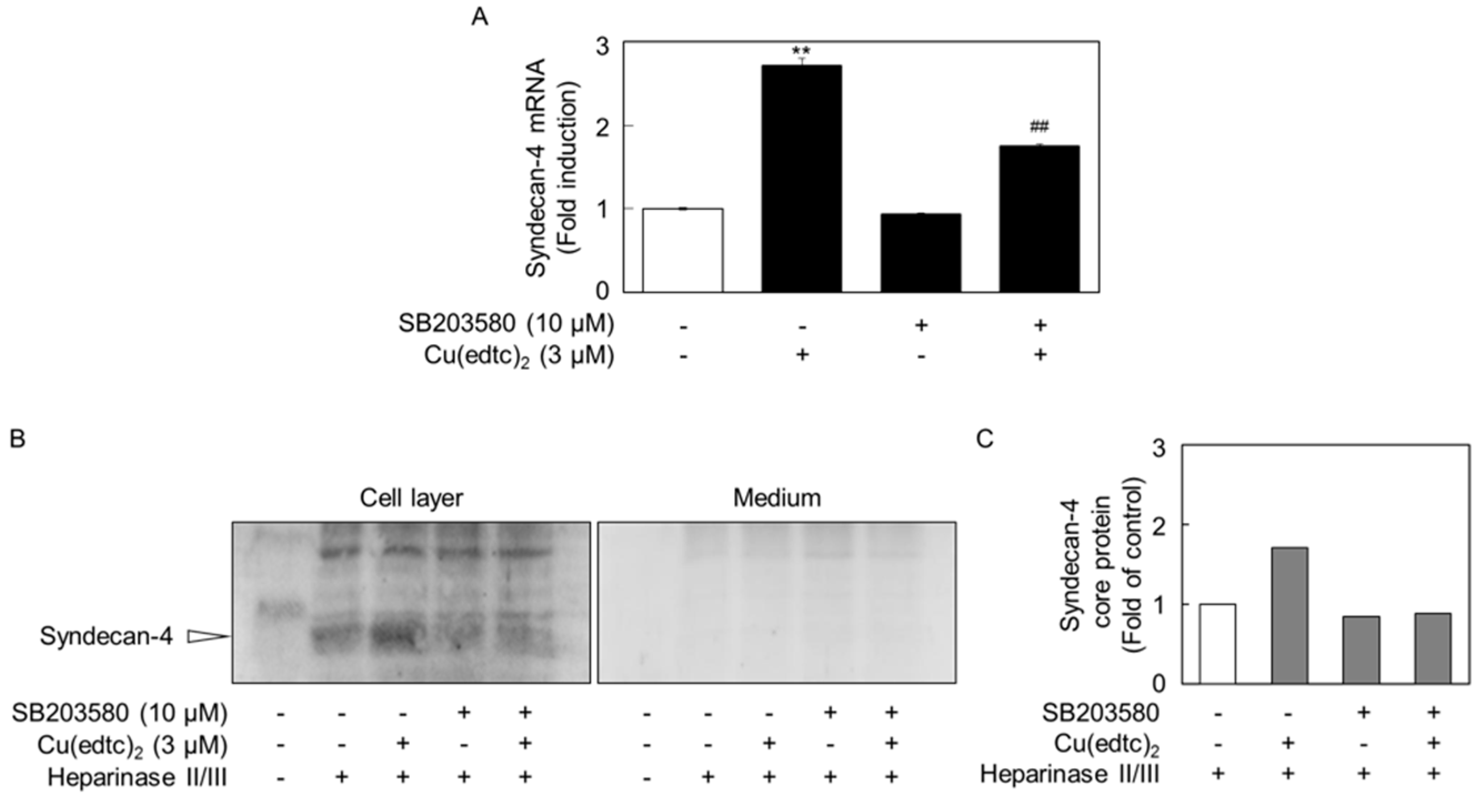 Ijms 19 03302 g006 Ijms 19 03302 g006