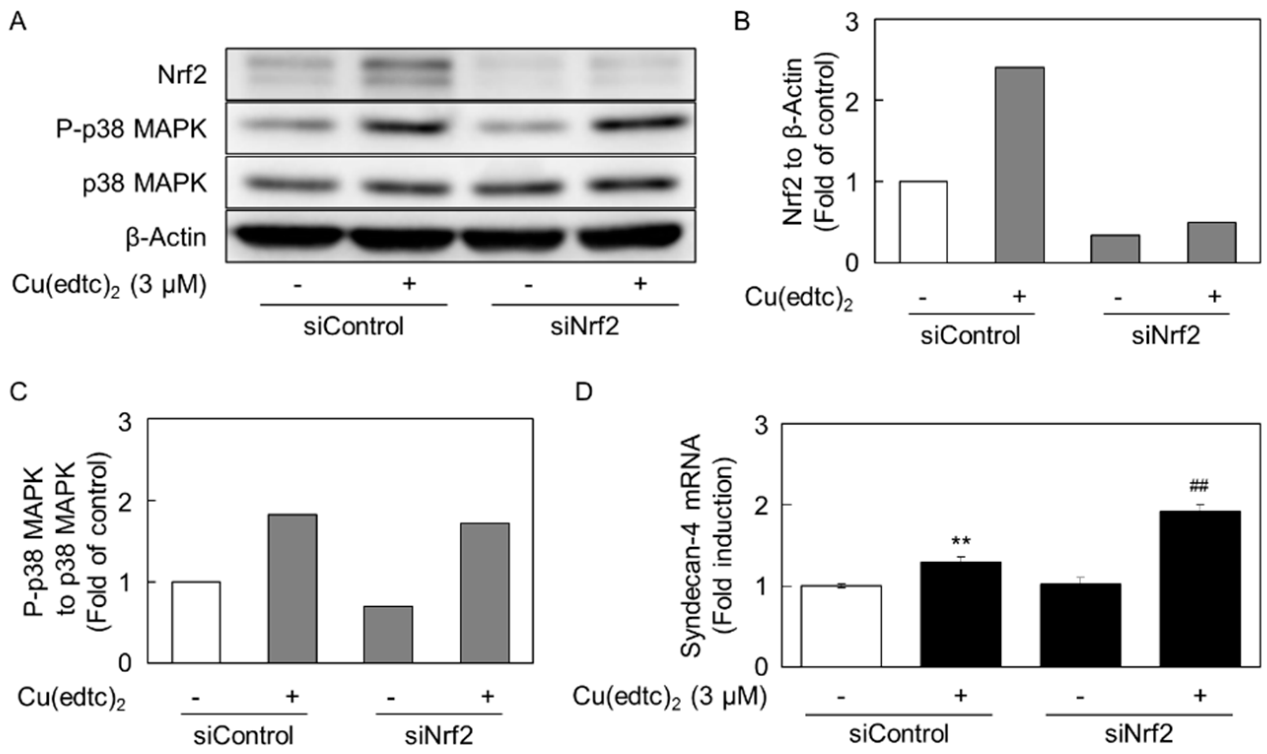 Ijms 19 03302 g007 Ijms 19 03302 g007