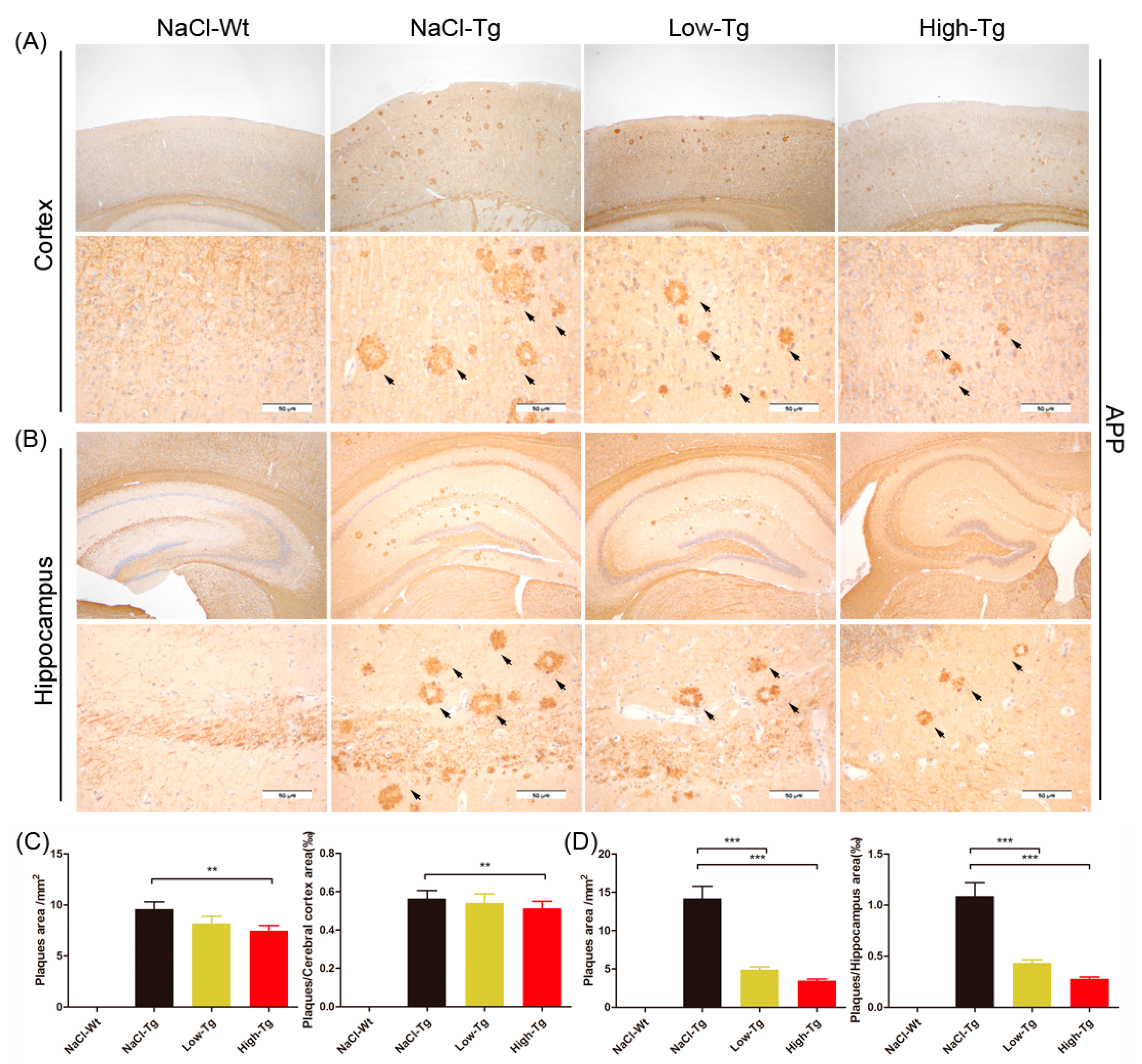 Ijms 19 03304 g004 Ijms 19 03304 g004