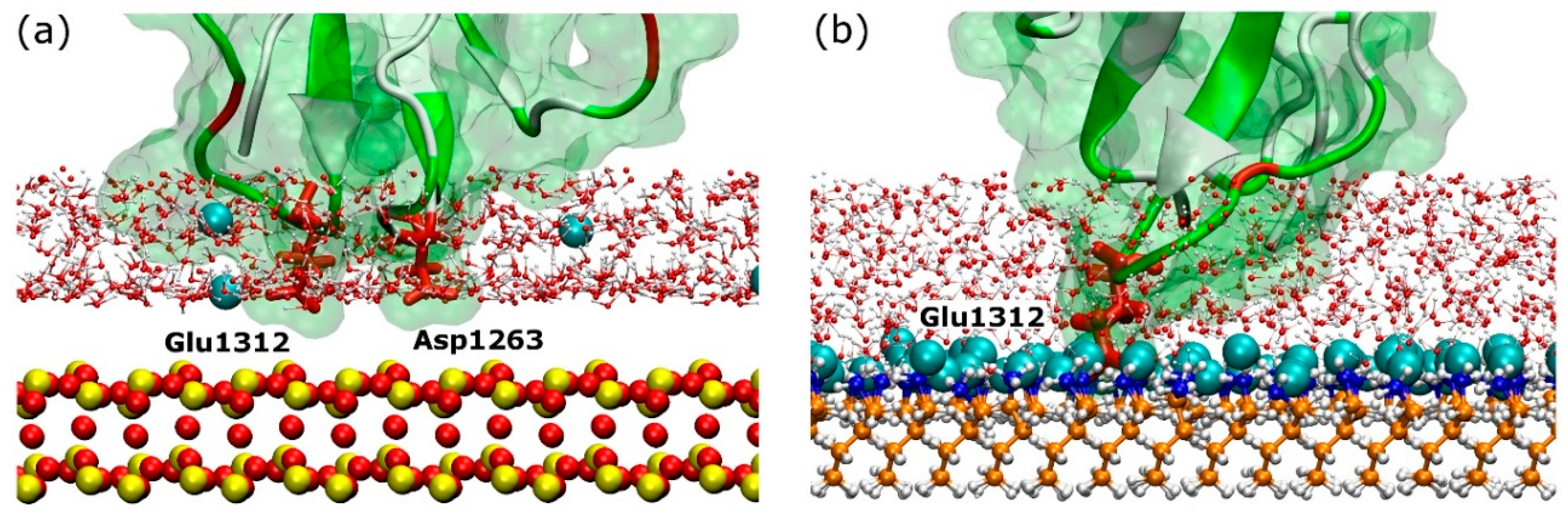 Ijms 19 03321 g008 Ijms 19 03321 g008
