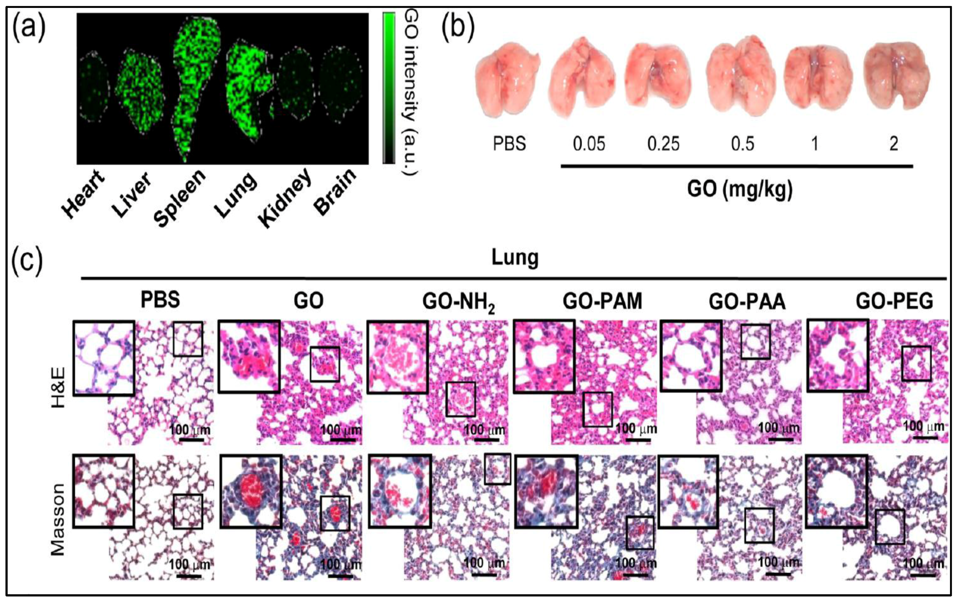 Ijms 19 03564 g019a Ijms 19 03564 g019a