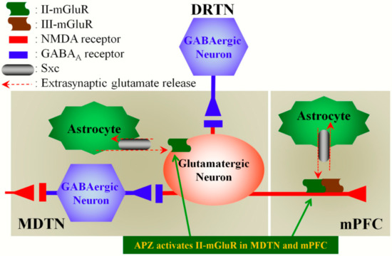 N-acetylcysteine hotsell nmda receptor