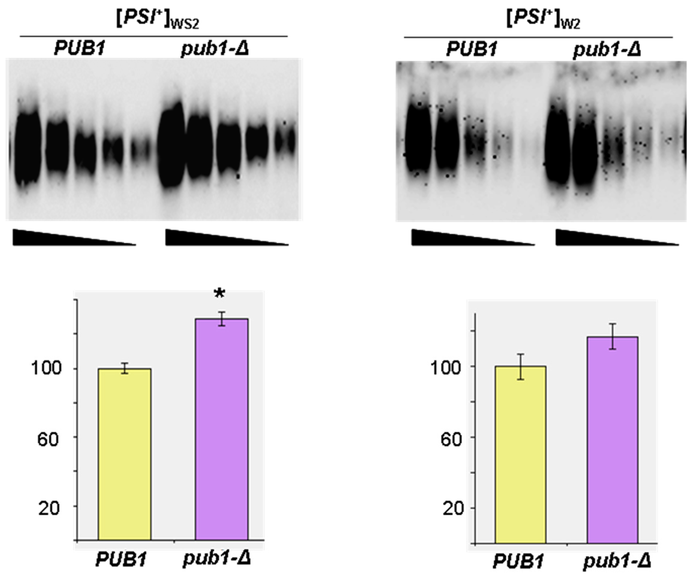 Ijms 19 03663 g002 Ijms 19 03663 g002