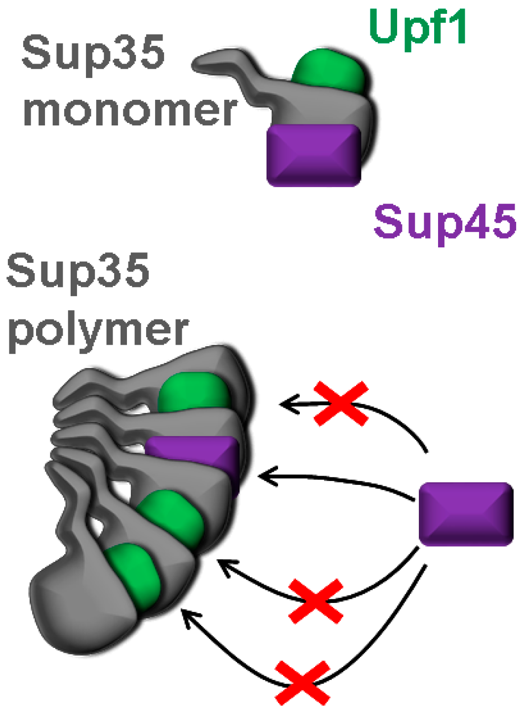 Ijms 19 03663 g004 Ijms 19 03663 g004