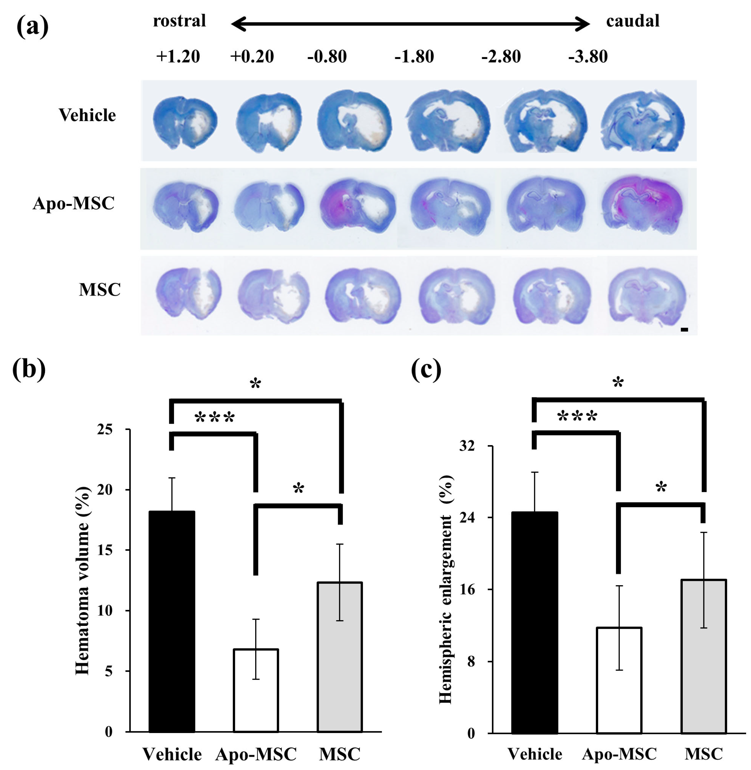 Ijms 19 03679 g001 Ijms 19 03679 g001