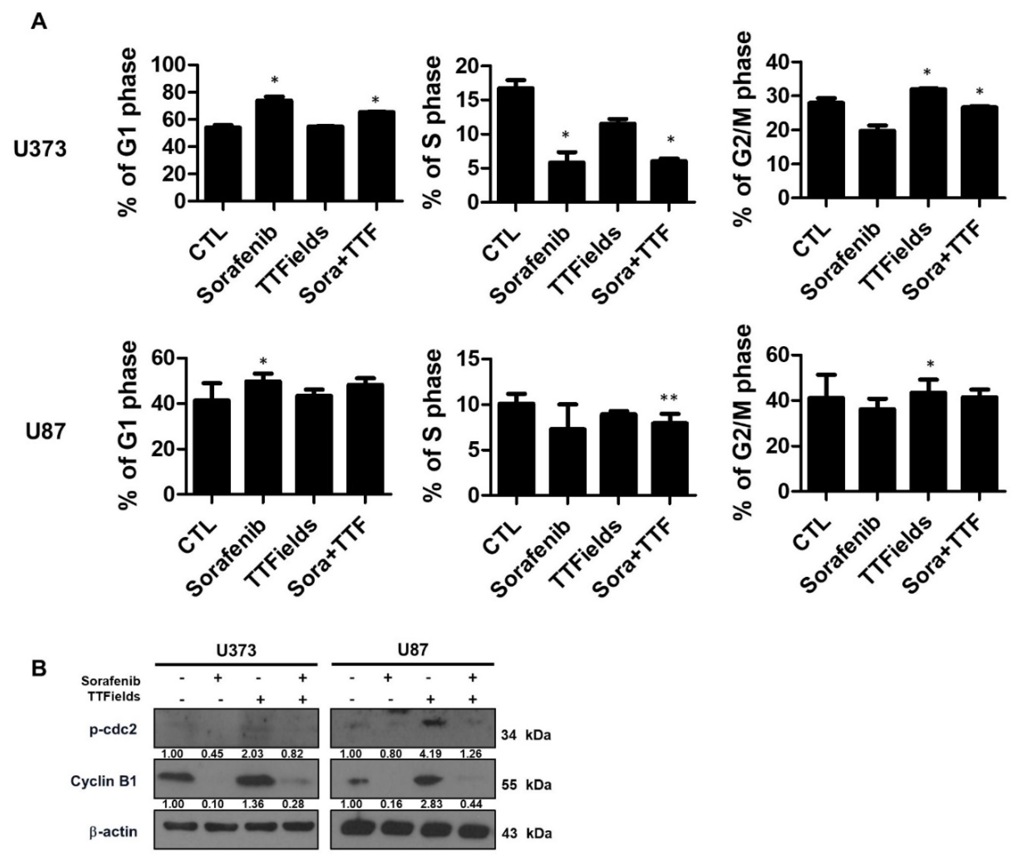 Ijms 19 03684 g005 Ijms 19 03684 g005