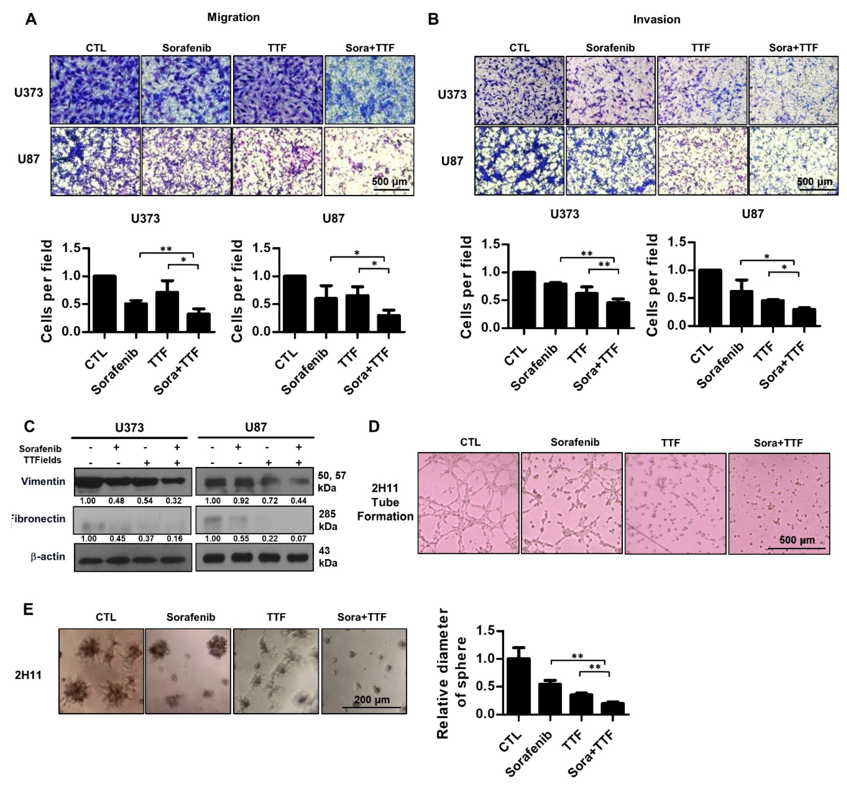 Ijms 19 03684 g006 Ijms 19 03684 g006