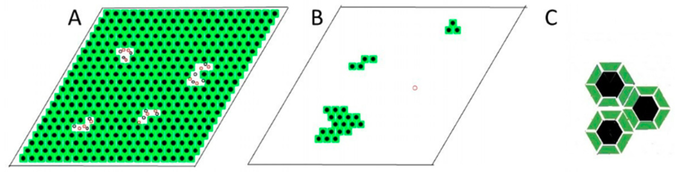 Ijms 19 03690 g008 Ijms 19 03690 g008