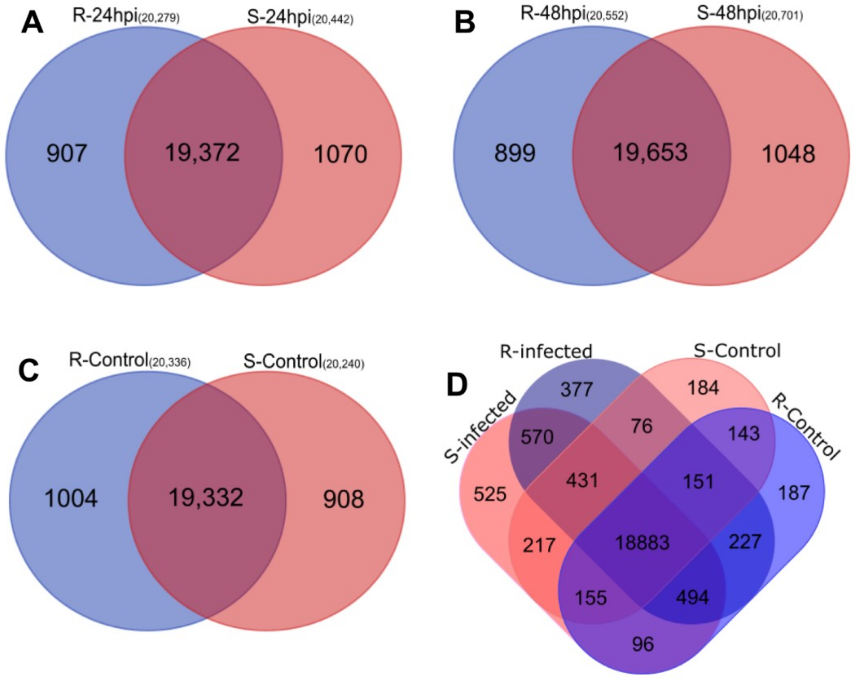 Ijms 19 03735 g002 Ijms 19 03735 g002