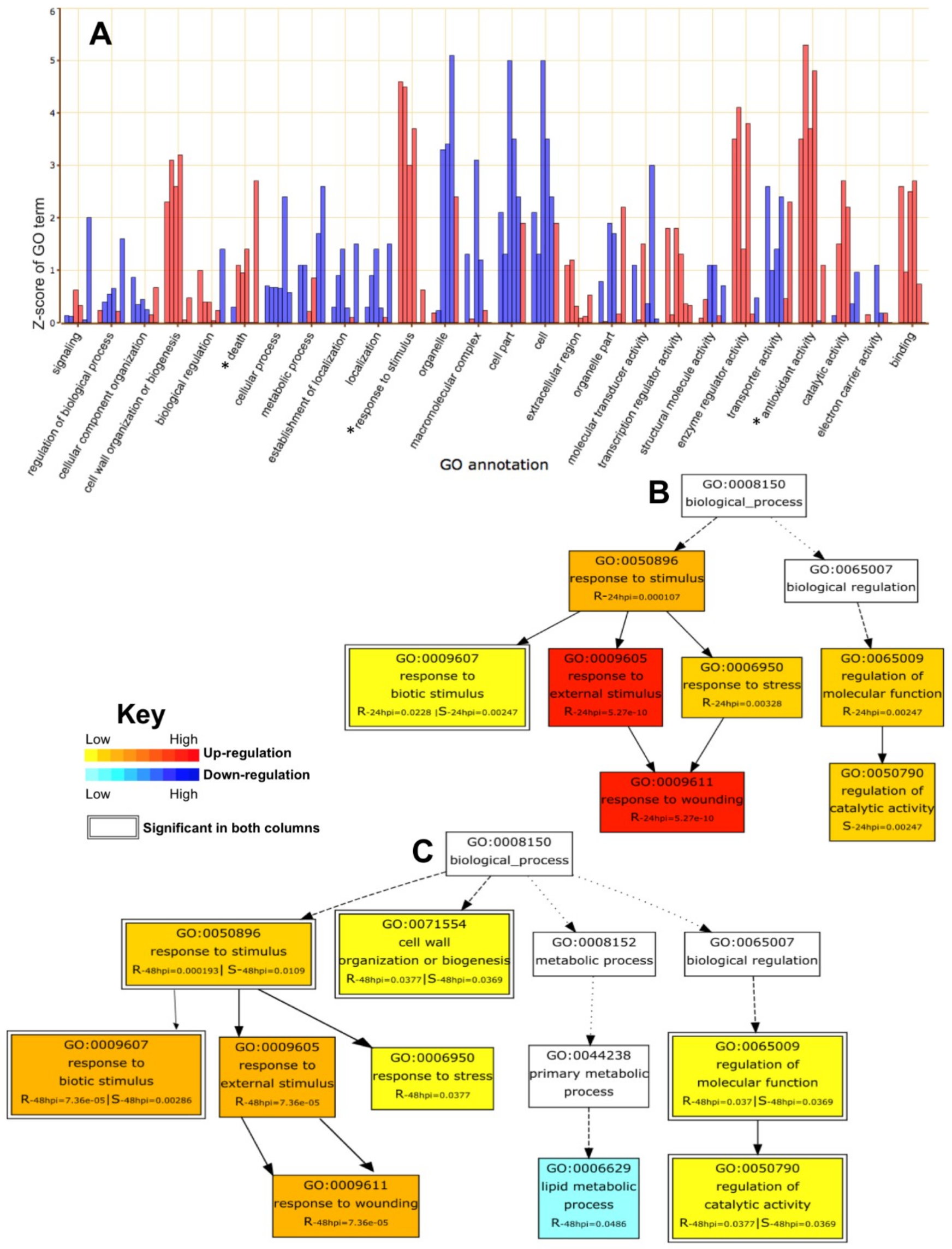 Ijms 19 03735 g006 Ijms 19 03735 g006