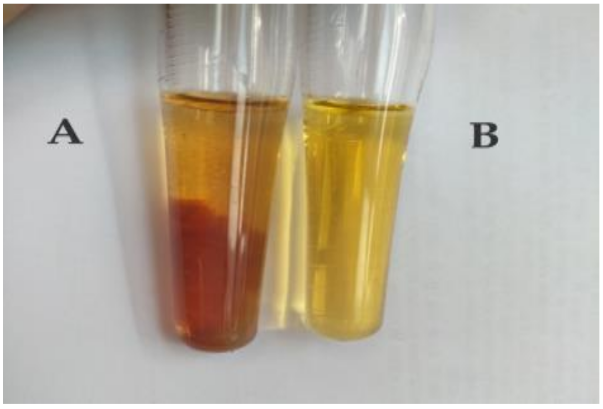 Ijms Free Full Text Study On The Preparation And Chemical Structure Characterization Of Melanin From Boletus Griseus Html