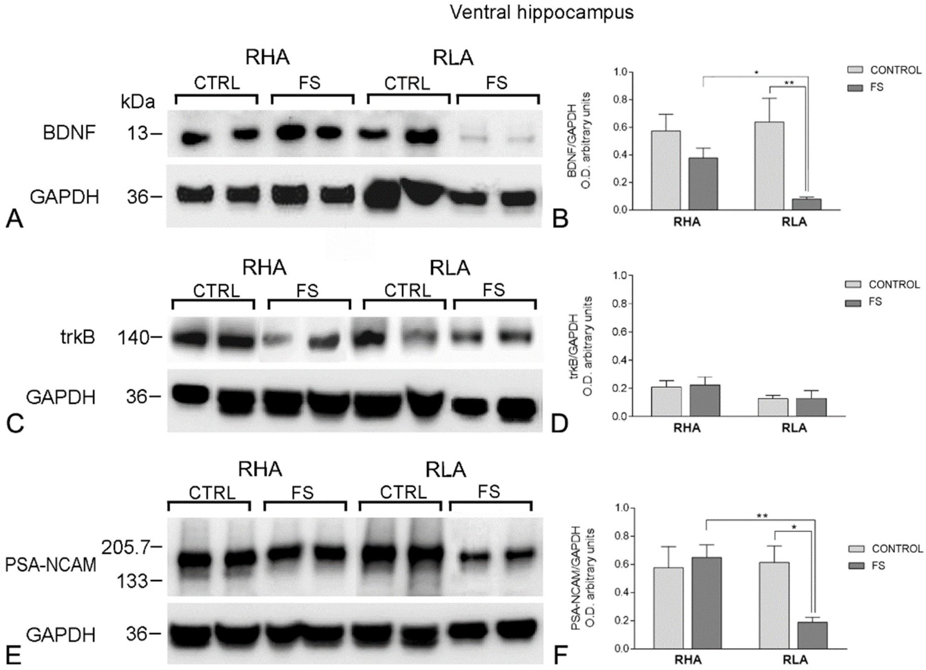 Ijms 19 03745 g003 Ijms 19 03745 g003