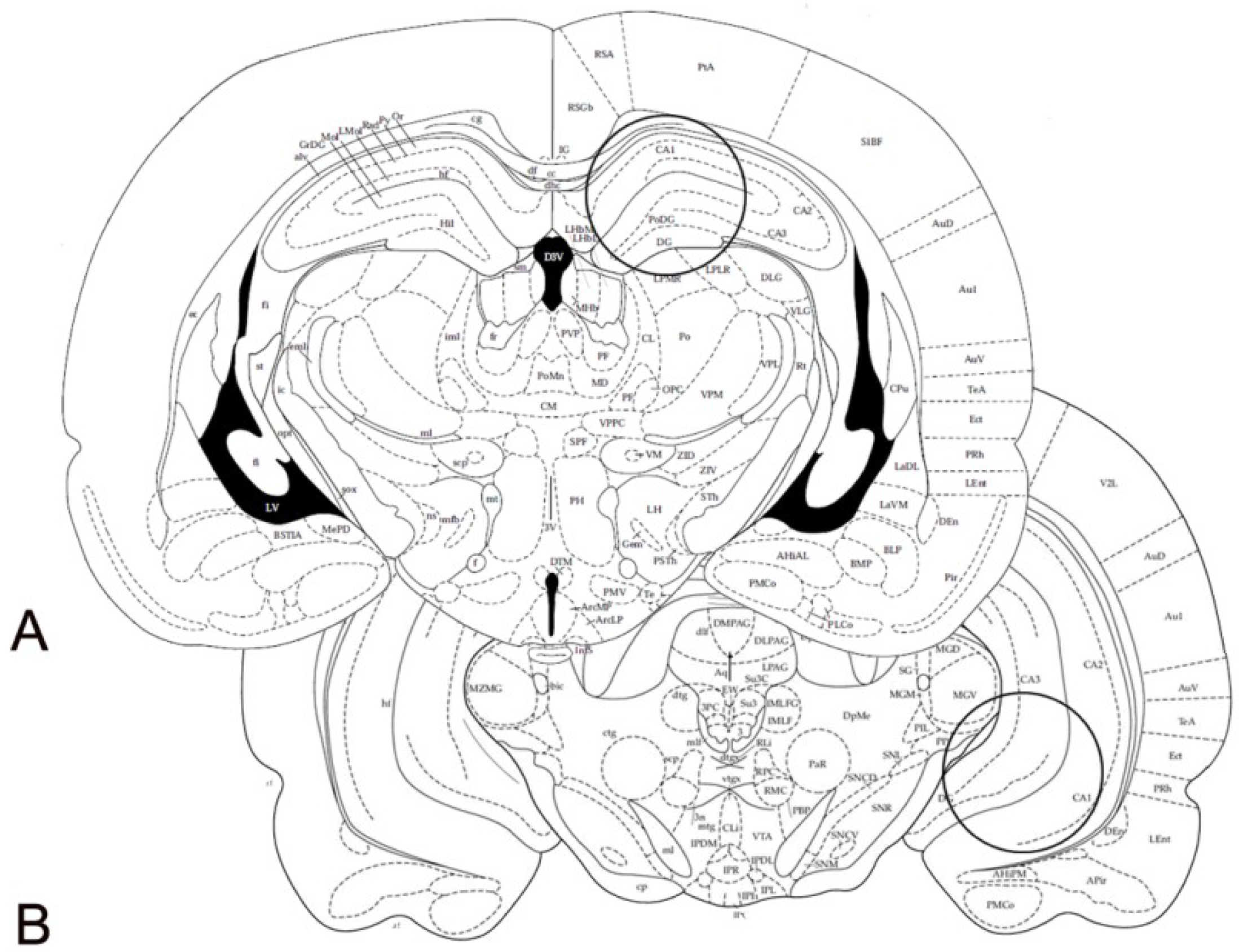 Ijms 19 03745 g010 Ijms 19 03745 g010