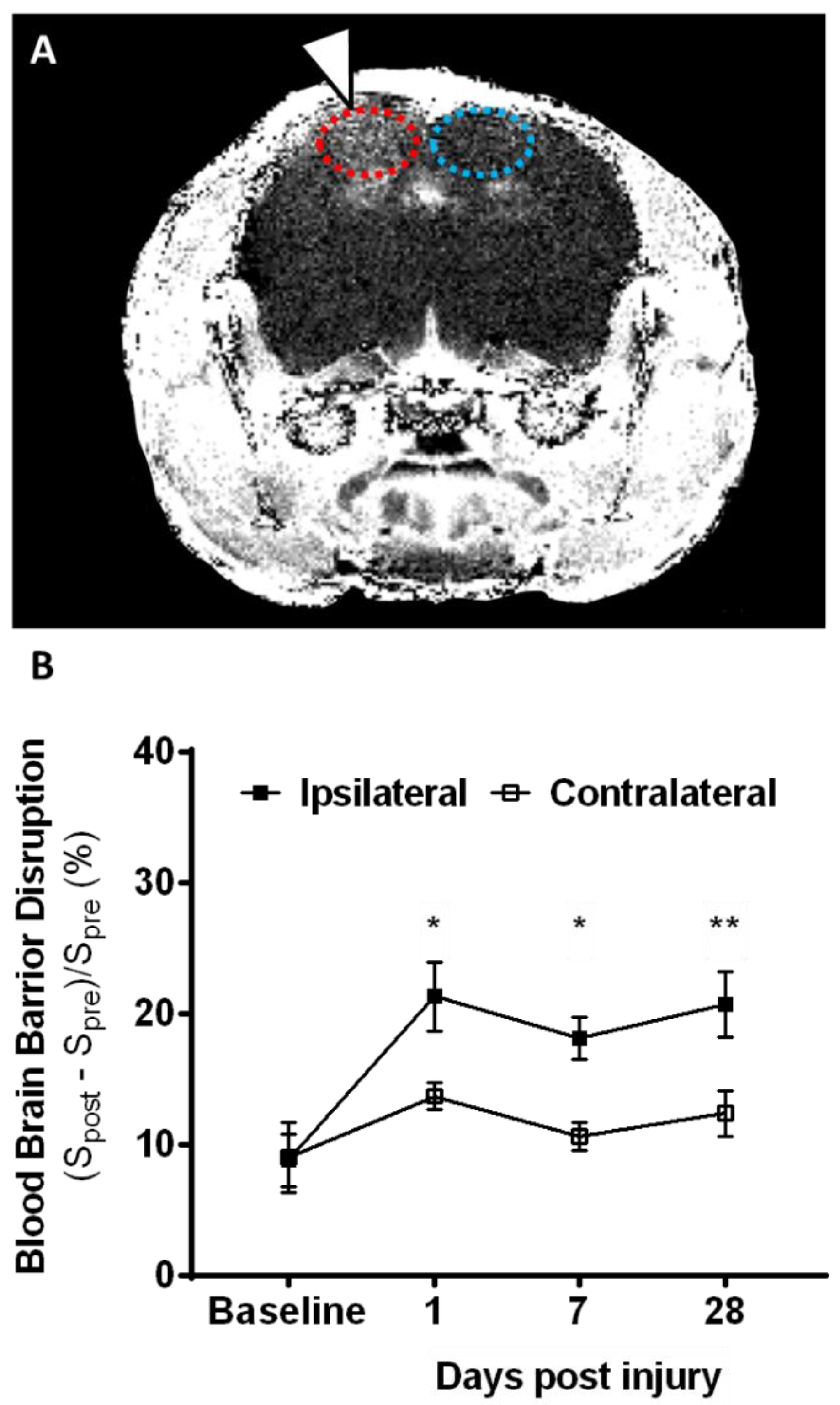 Ijms 19 03753 g002 Ijms 19 03753 g002
