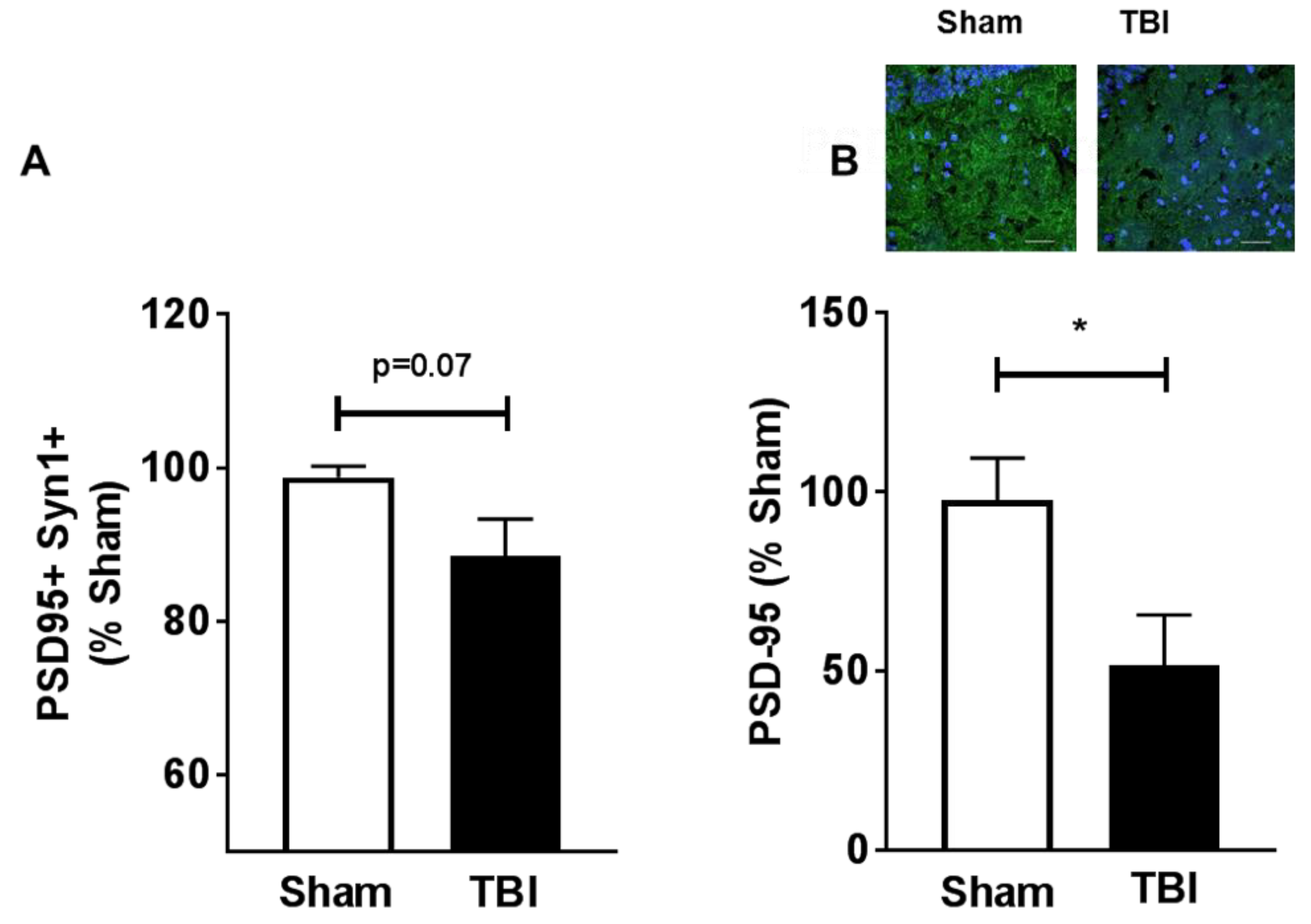 Ijms 19 03753 g005 Ijms 19 03753 g005