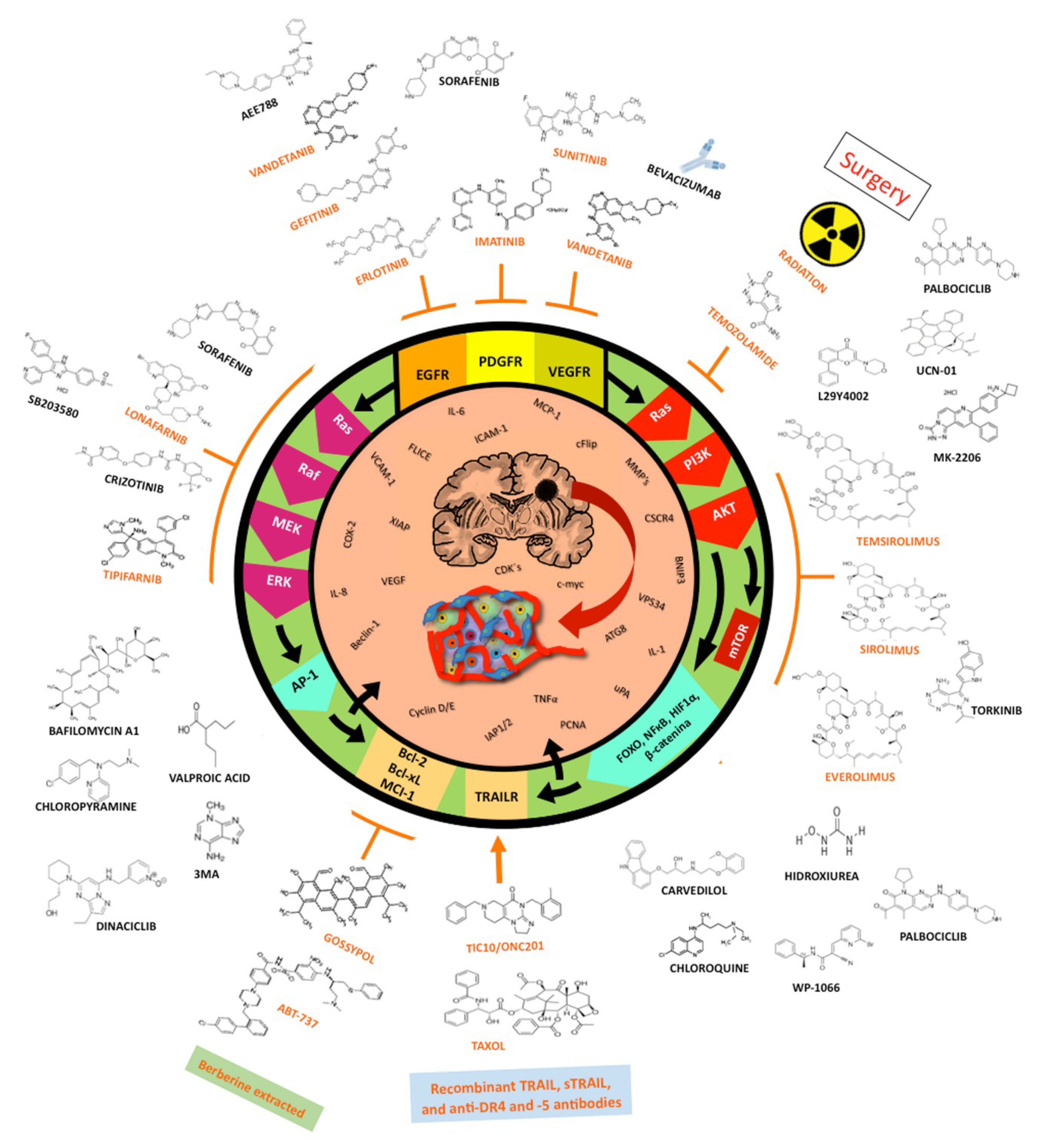 Ijms 19 03773 g008 Ijms 19 03773 g008