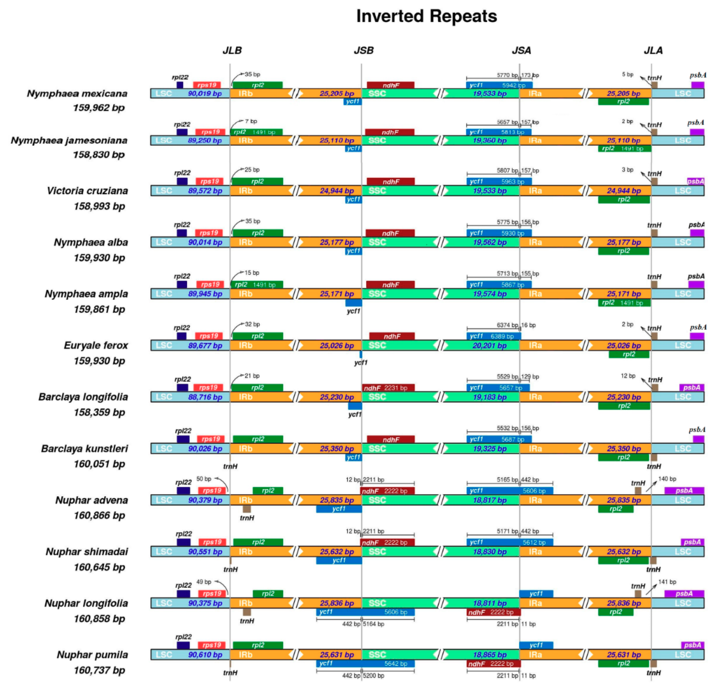 Ijms 19 03780 g004 Ijms 19 03780 g004