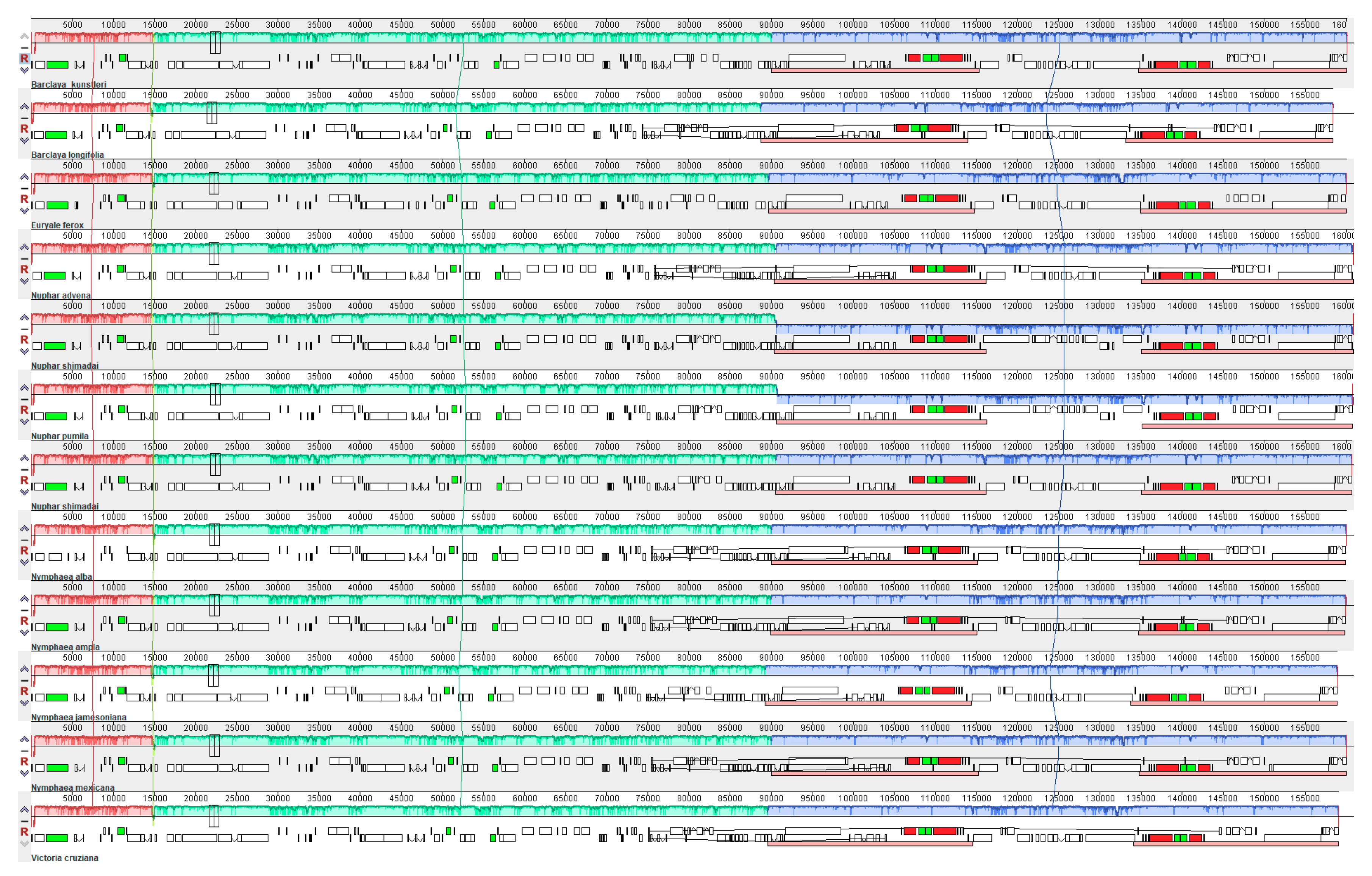 Ijms 19 03780 g005 Ijms 19 03780 g005