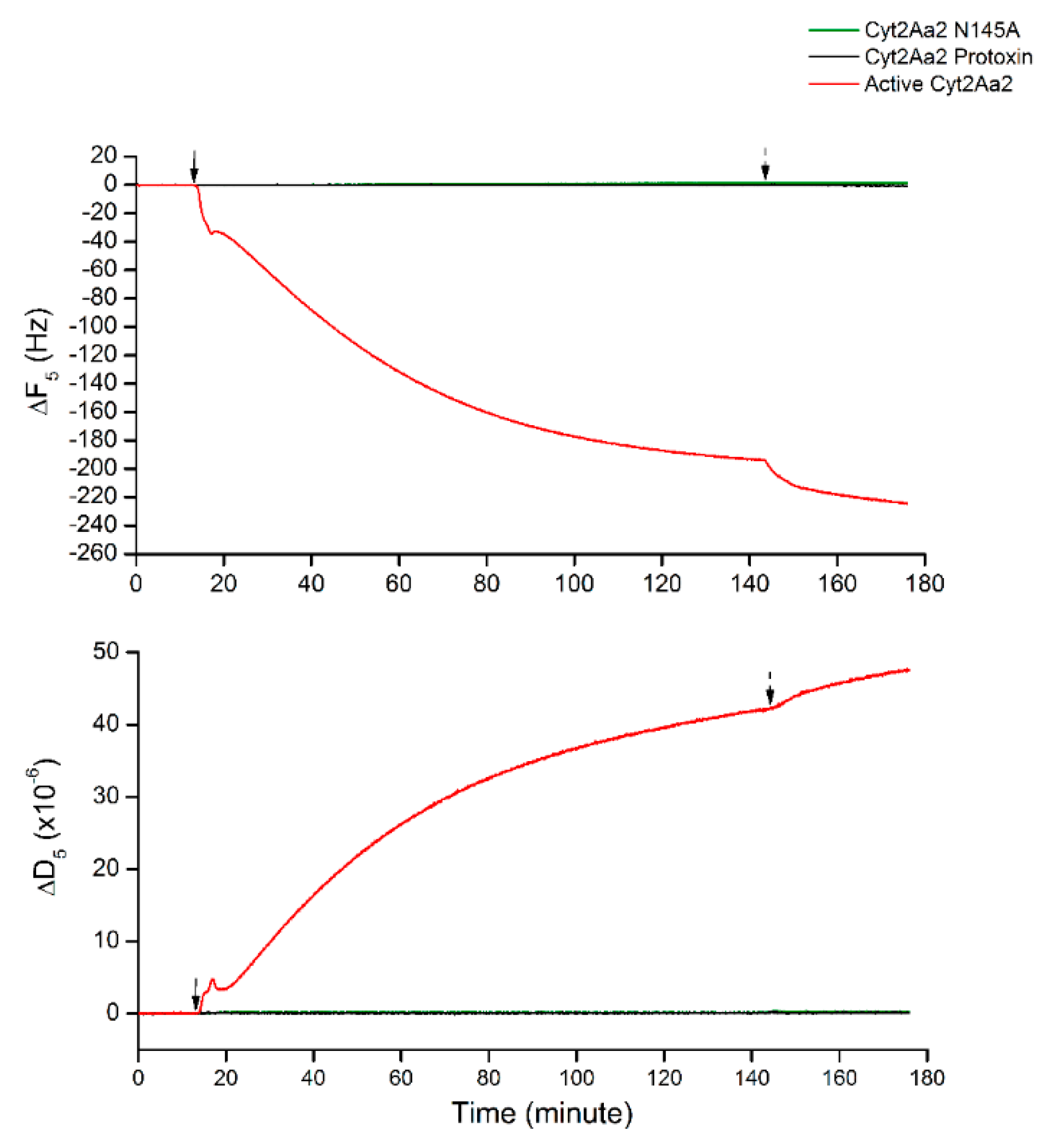Ijms 19 03819 g004 Ijms 19 03819 g004