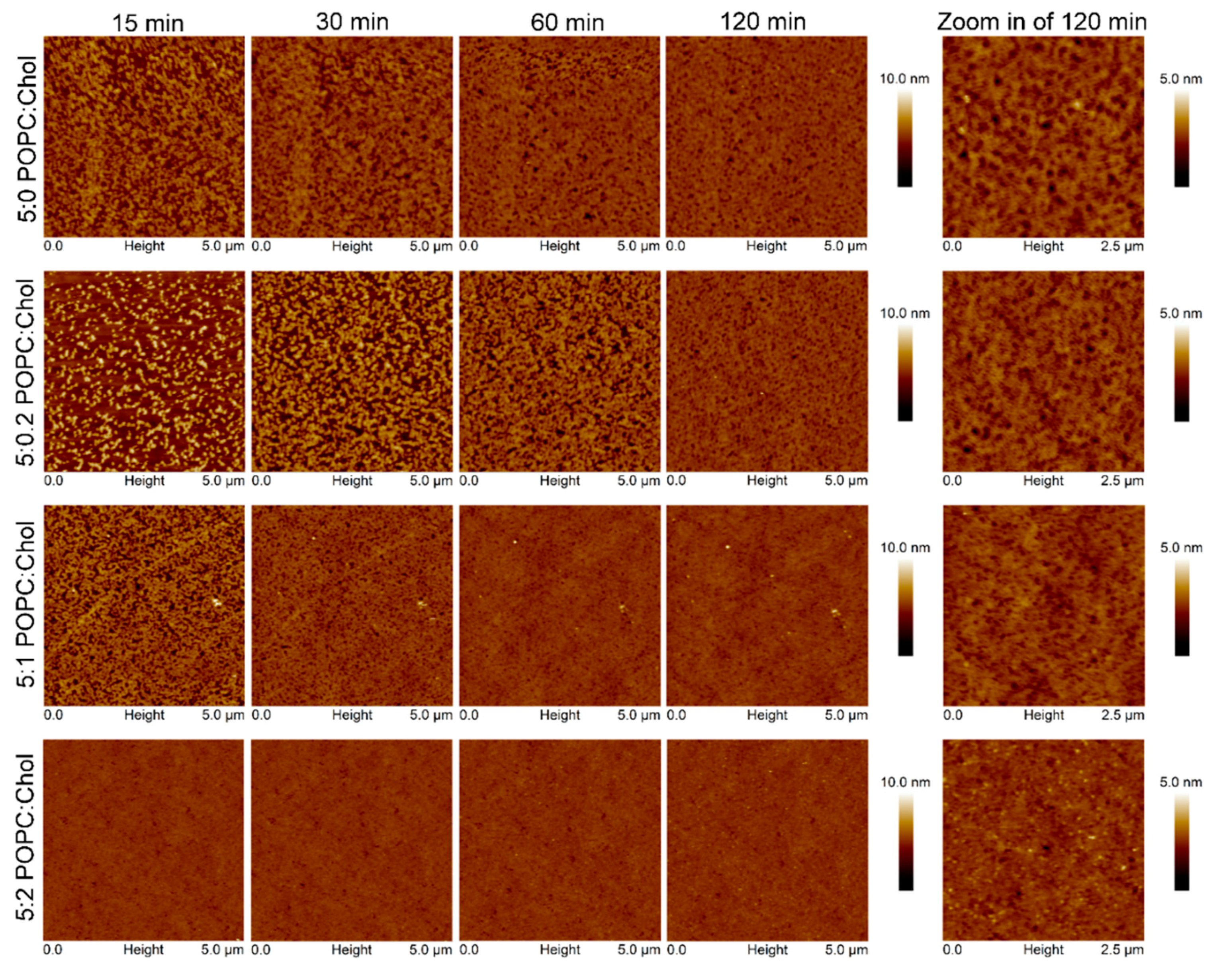 Ijms 19 03819 g005 Ijms 19 03819 g005