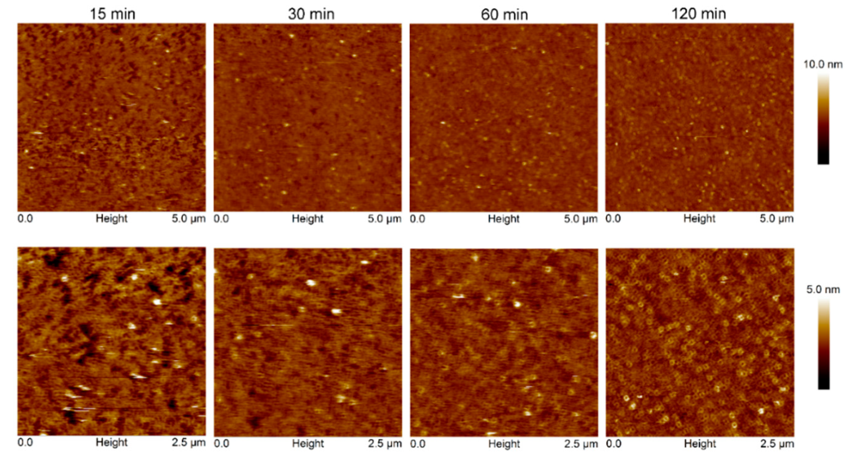 Ijms 19 03819 g007 Ijms 19 03819 g007