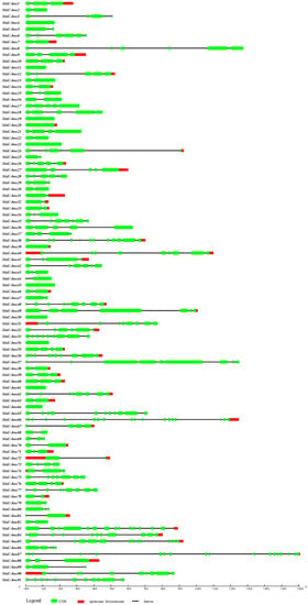 Ijms Free Full Text Genome Wide Identification And Analysis Of U Box Ubiquitin Protein Ligase Gene Family In Banana Html