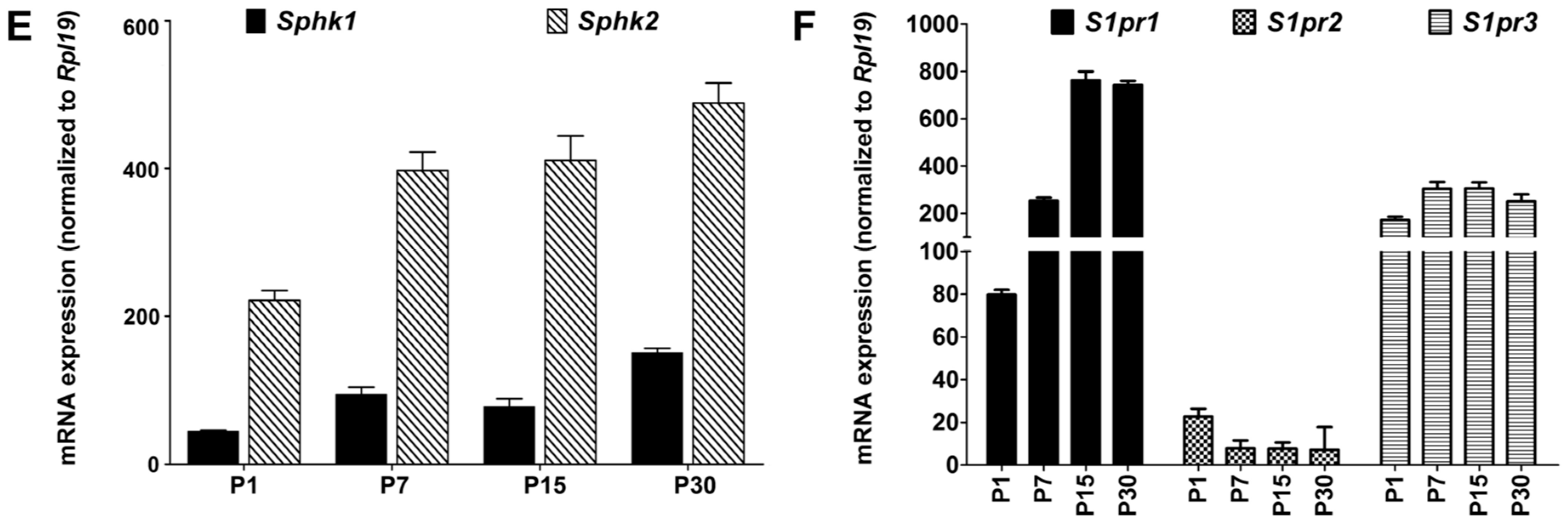 Ijms Free Full Text Characterizing Sphingosine Kinases - 