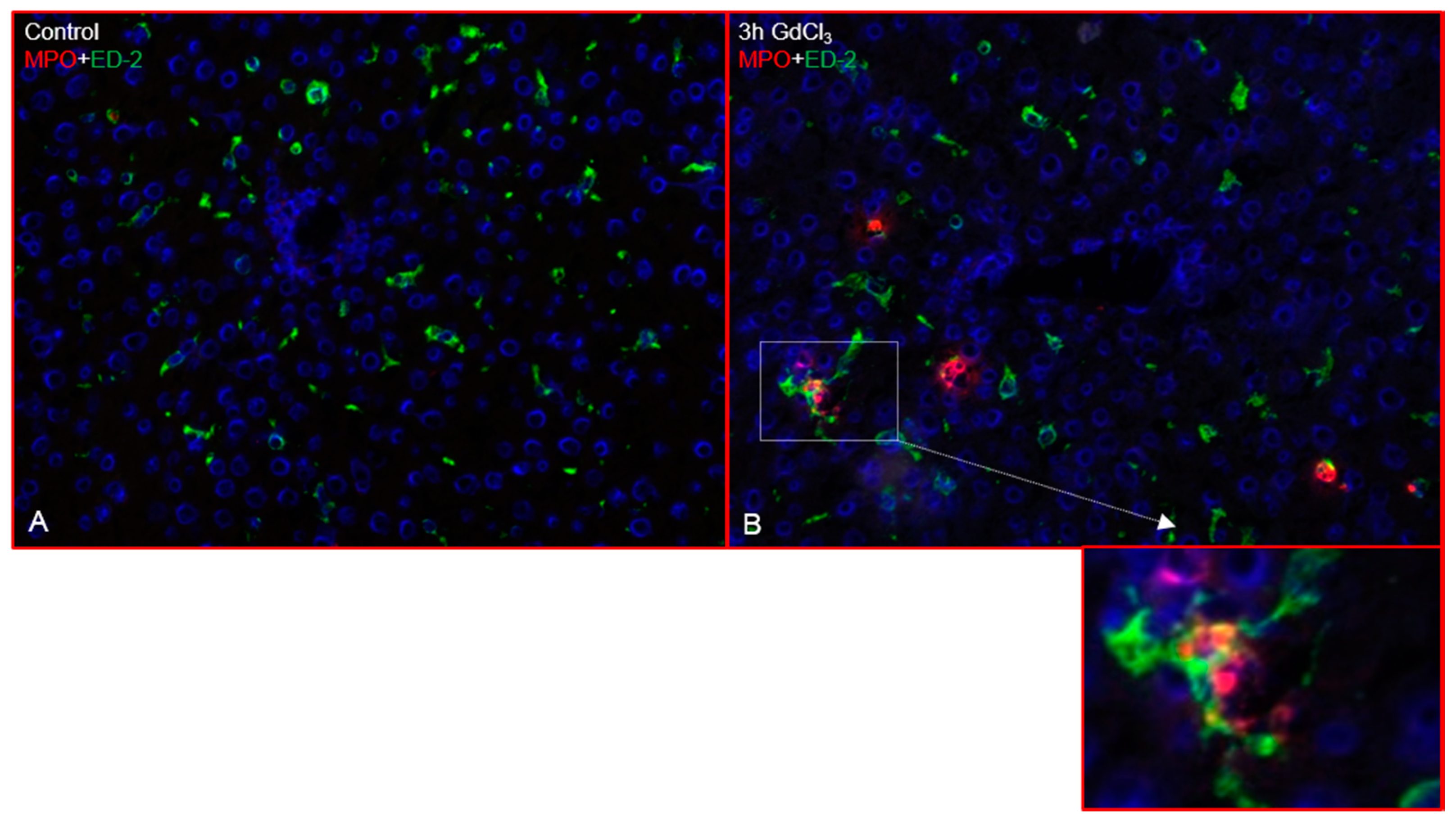 Ijms 19 03891 g002 Ijms 19 03891 g002