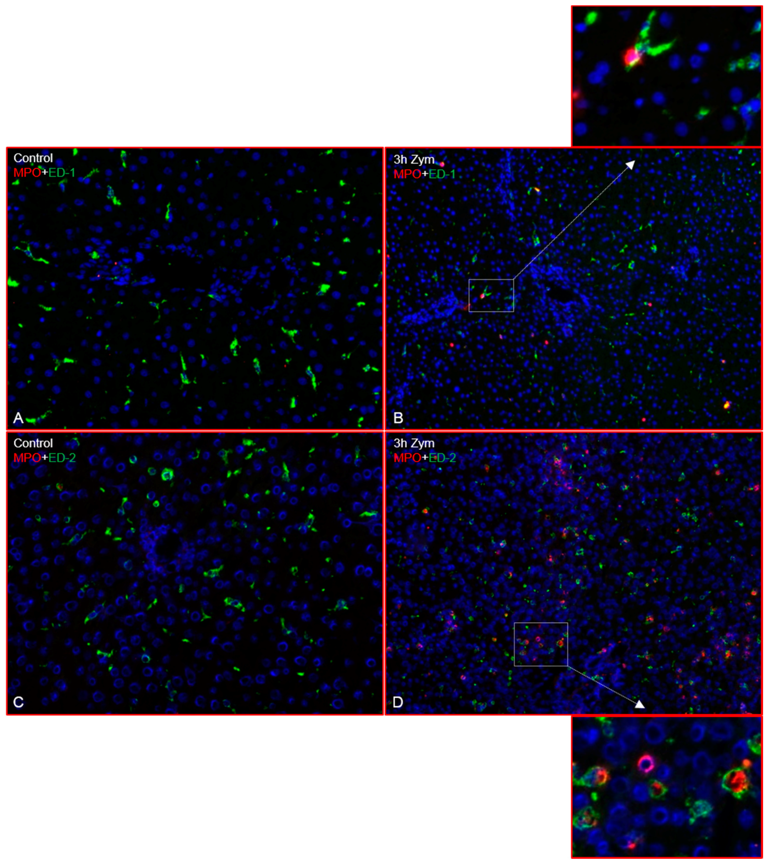 Ijms 19 03891 g003 Ijms 19 03891 g003