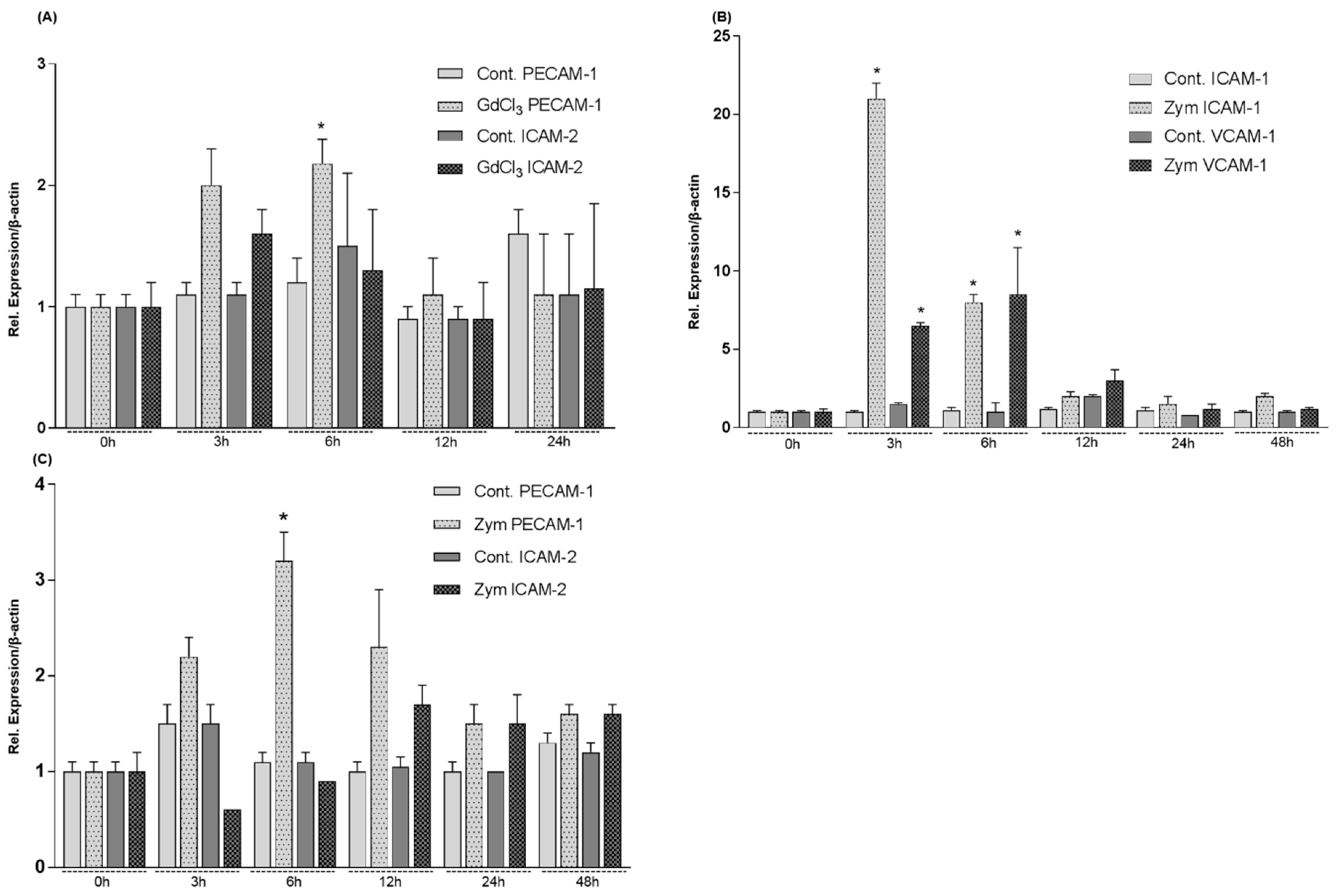 Ijms 19 03891 g007 Ijms 19 03891 g007