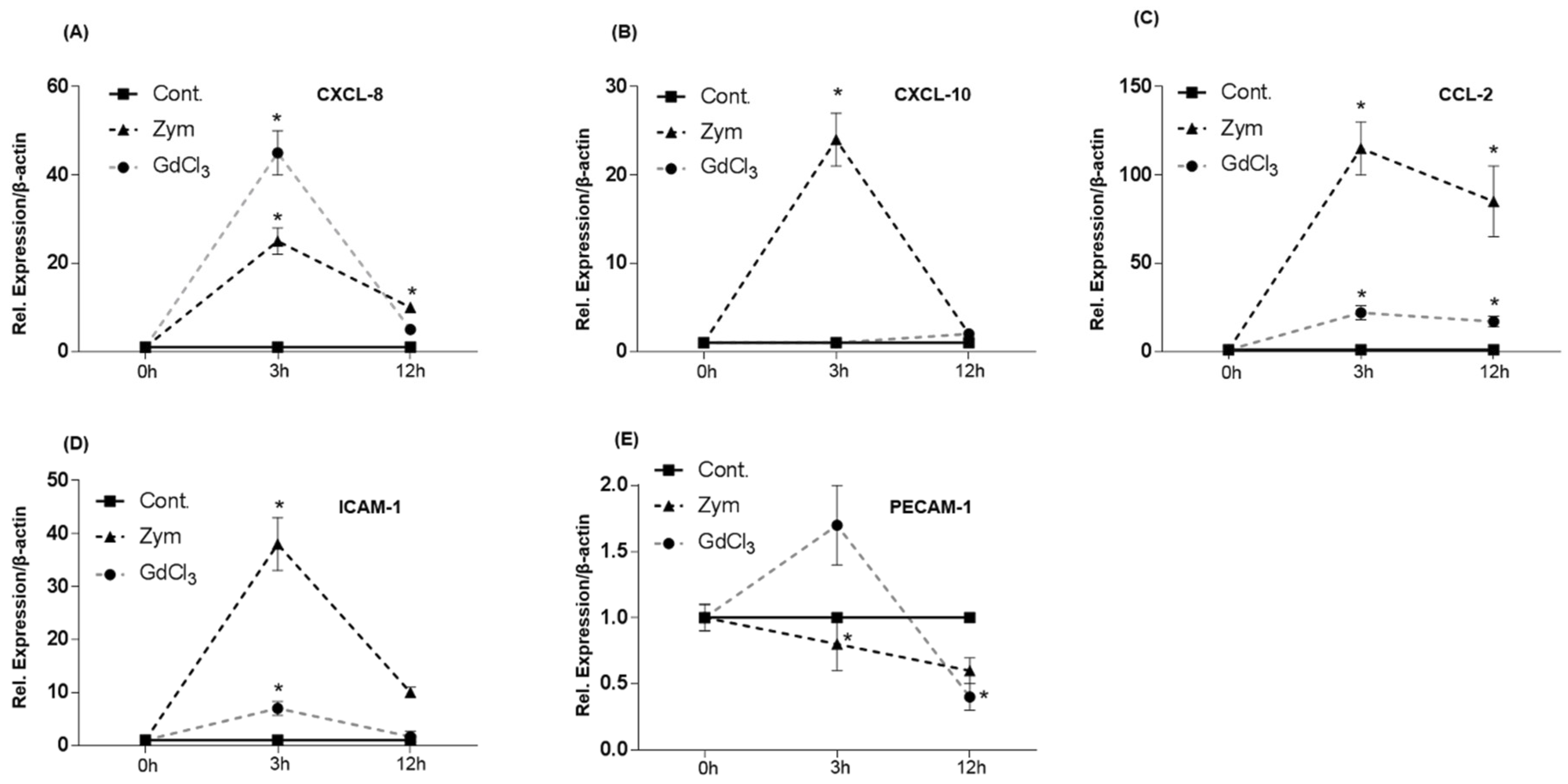 Ijms 19 03891 g008 Ijms 19 03891 g008