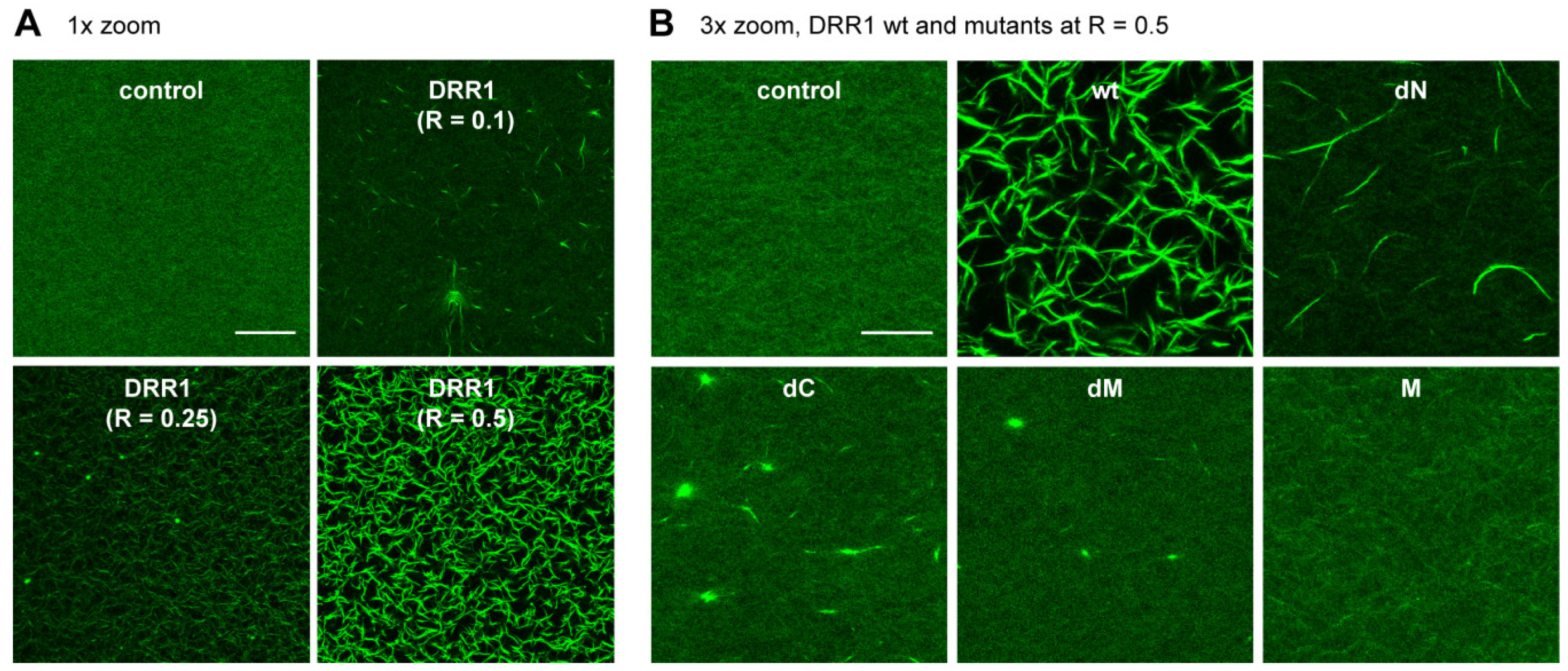 Ijms 19 03993 g002 Ijms 19 03993 g002