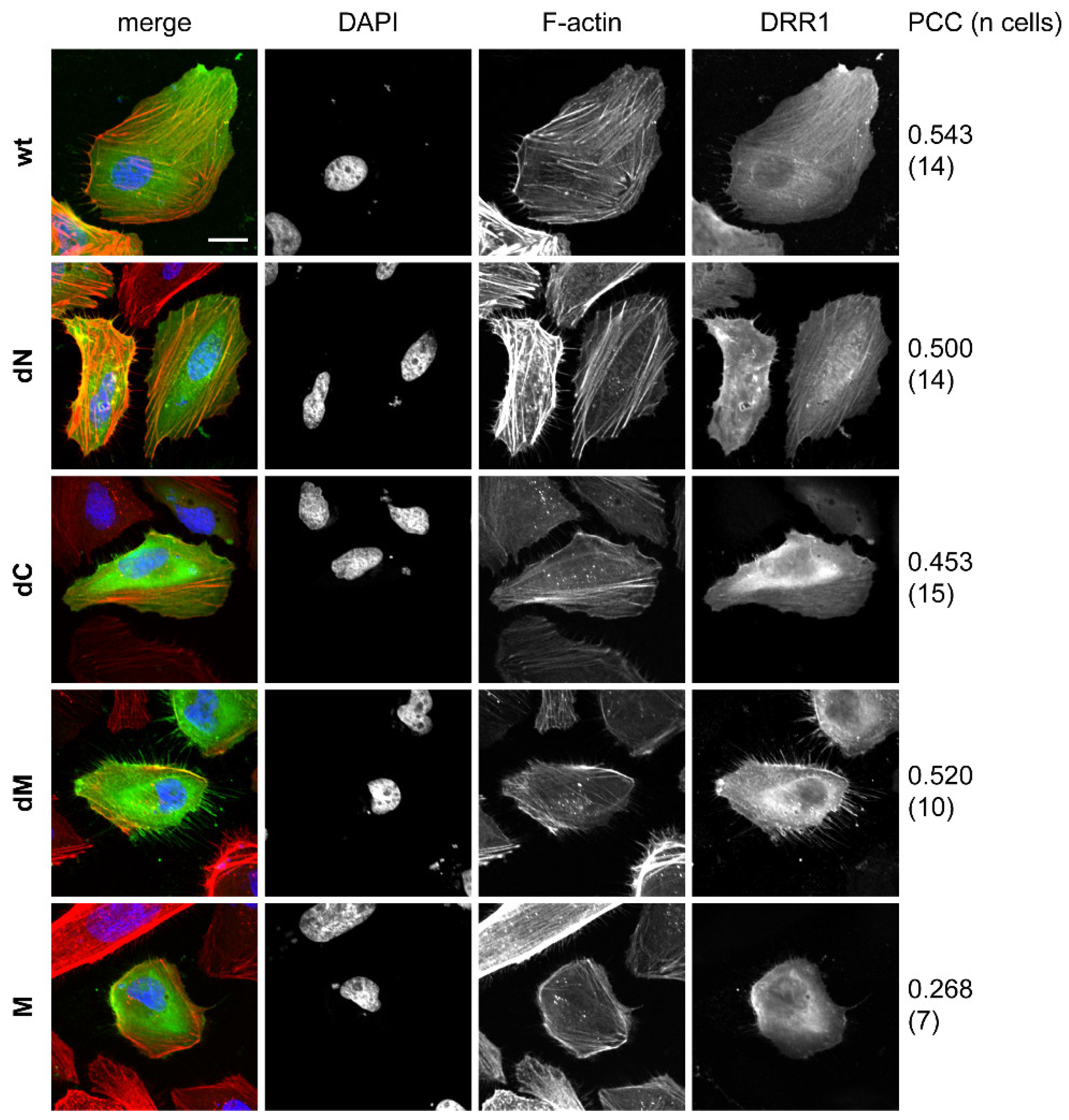 Ijms 19 03993 g0a3 Ijms 19 03993 g0a3