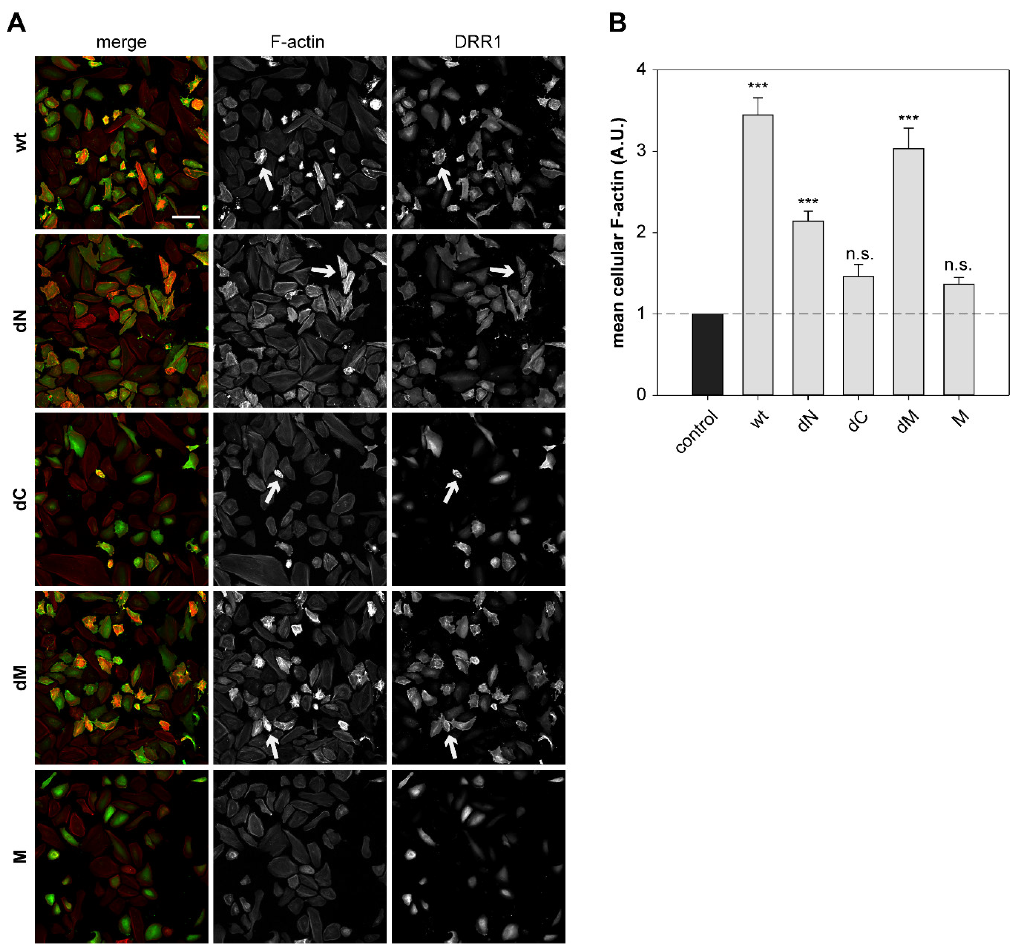 Ijms 19 03993 g0a4 Ijms 19 03993 g0a4