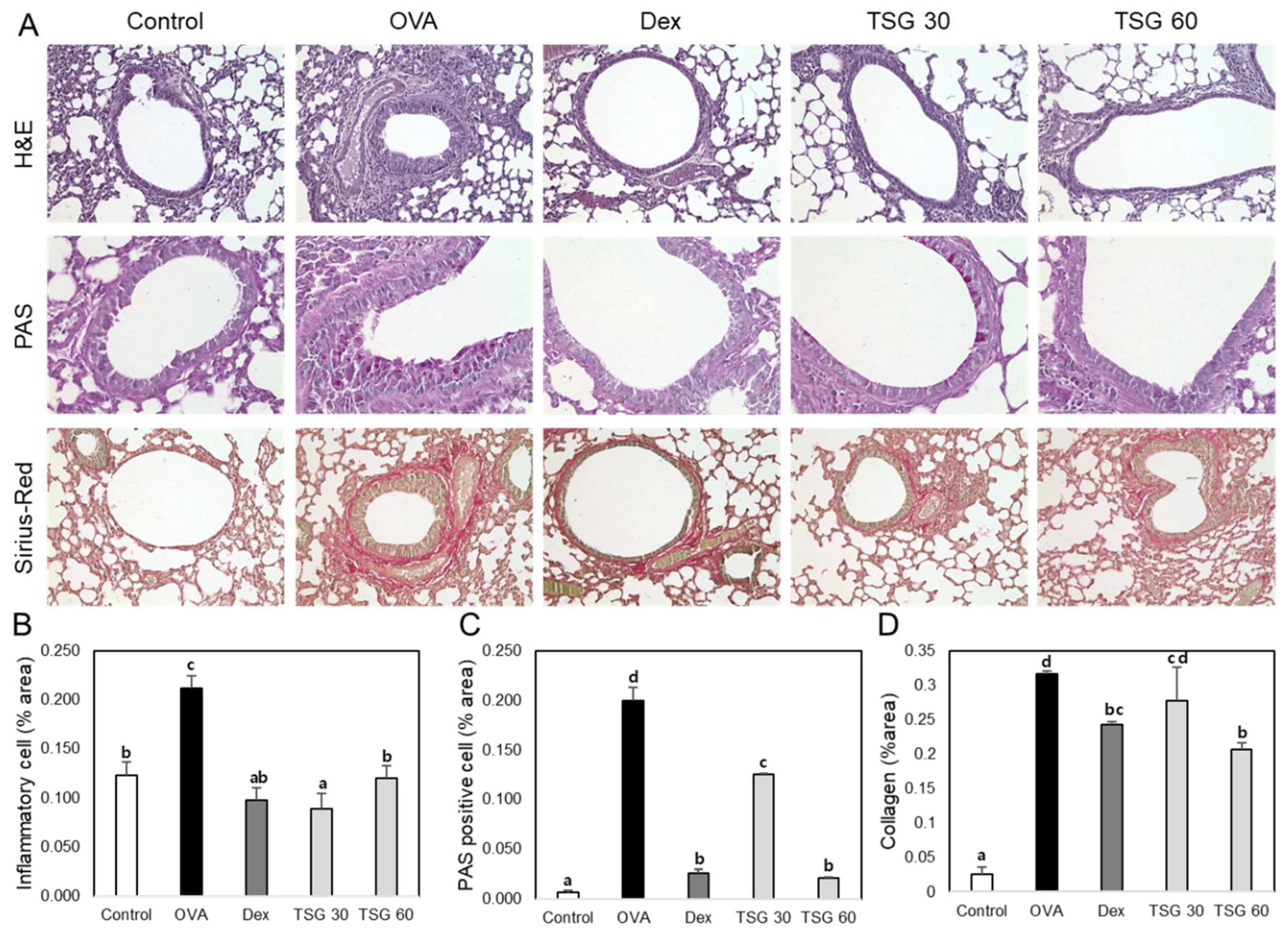 Ijms 19 04013 g006 Ijms 19 04013 g006