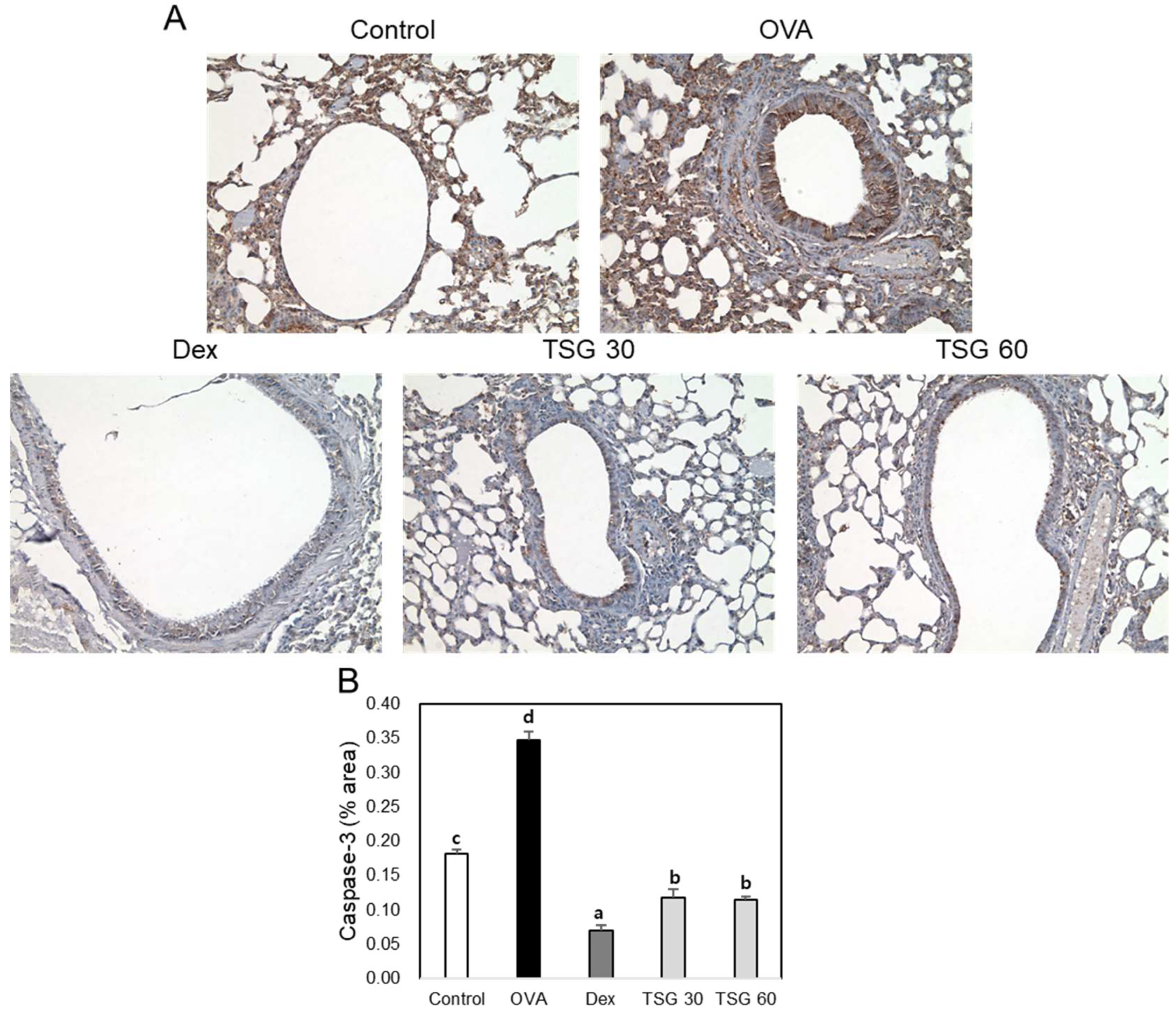 Ijms 19 04013 g007 Ijms 19 04013 g007