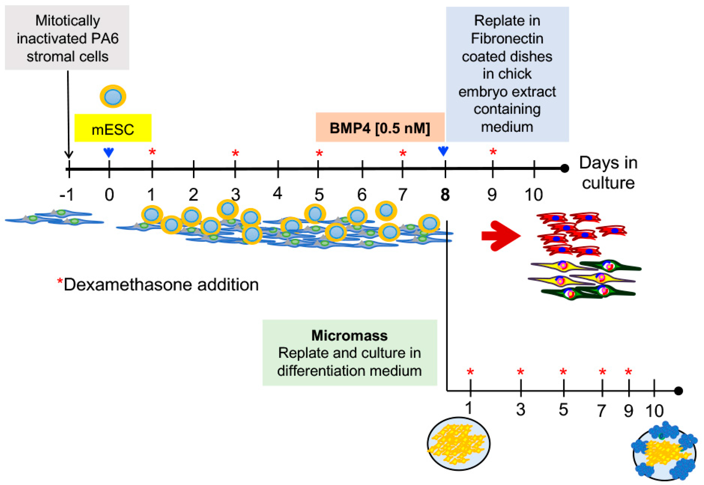 Ijms 19 04025 g001 Ijms 19 04025 g001