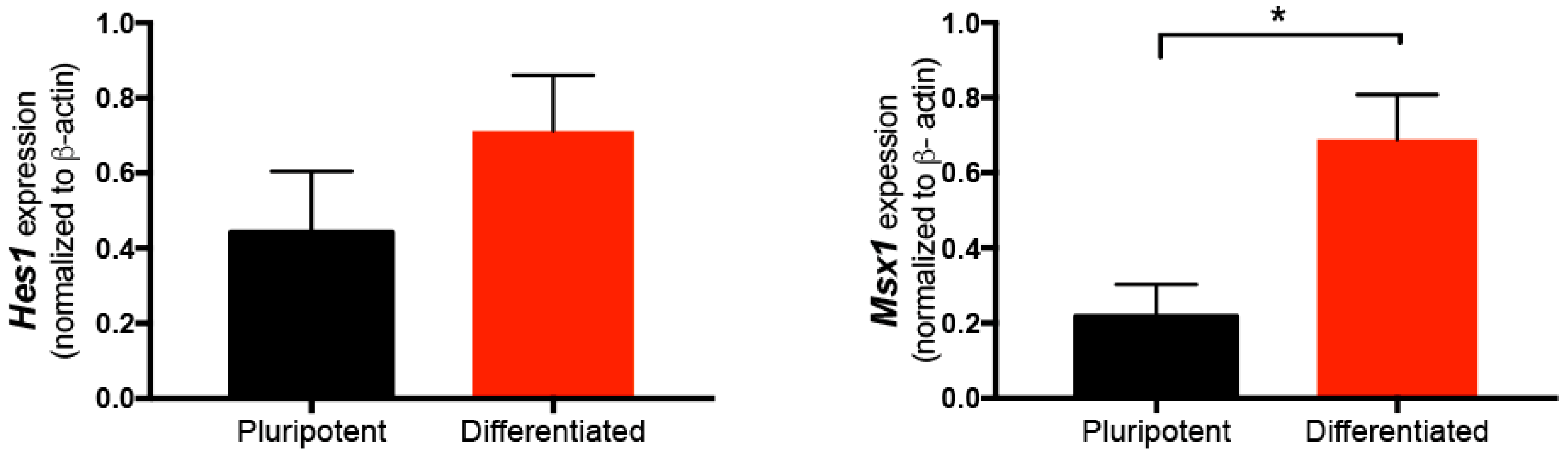 Ijms 19 04025 g002 Ijms 19 04025 g002