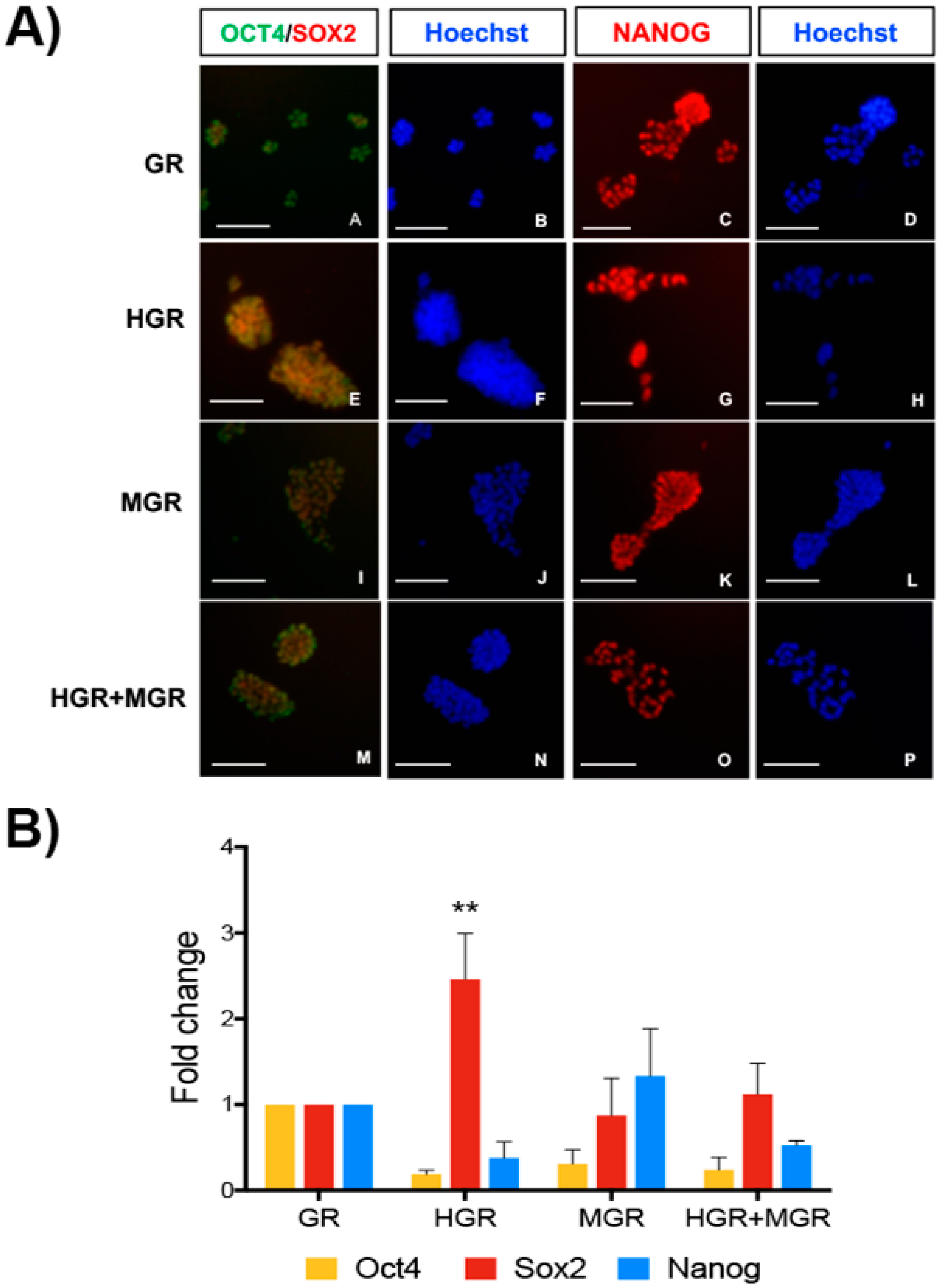 Ijms 19 04025 g004 Ijms 19 04025 g004