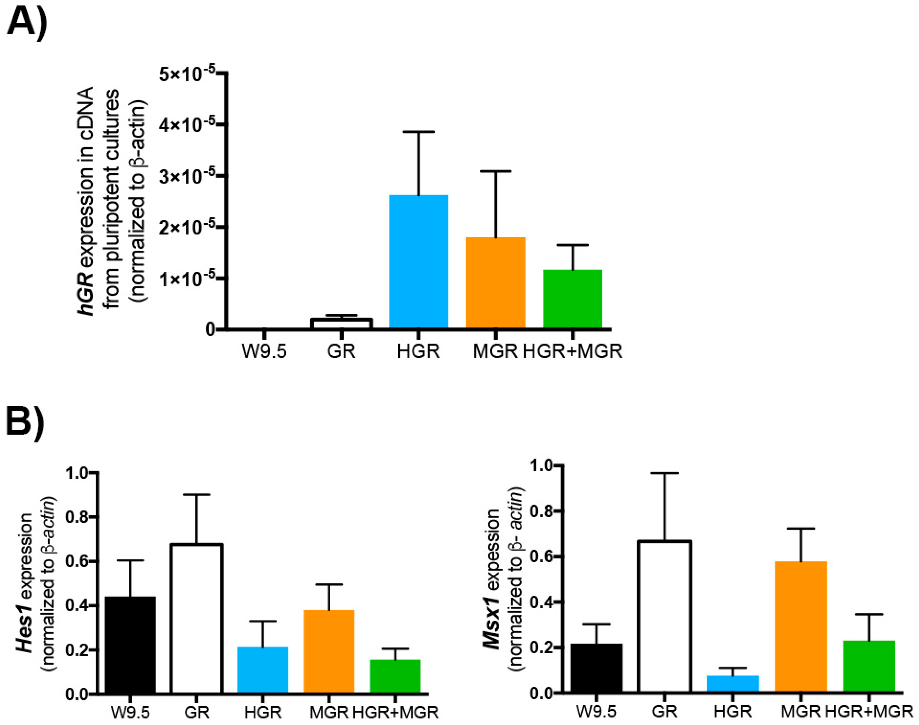 Ijms 19 04025 g005 Ijms 19 04025 g005