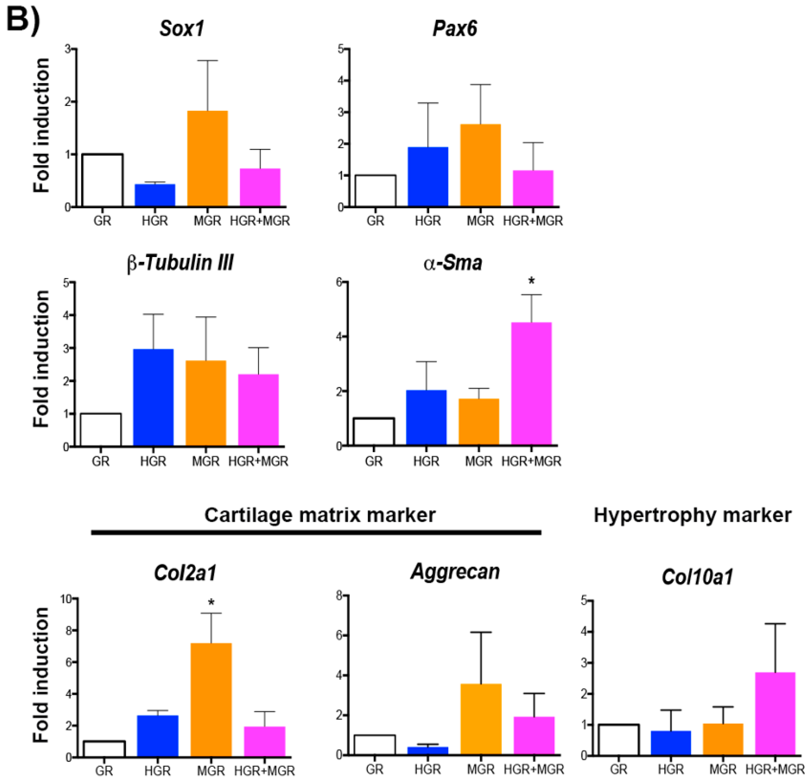 Ijms 19 04025 g007b Ijms 19 04025 g007b