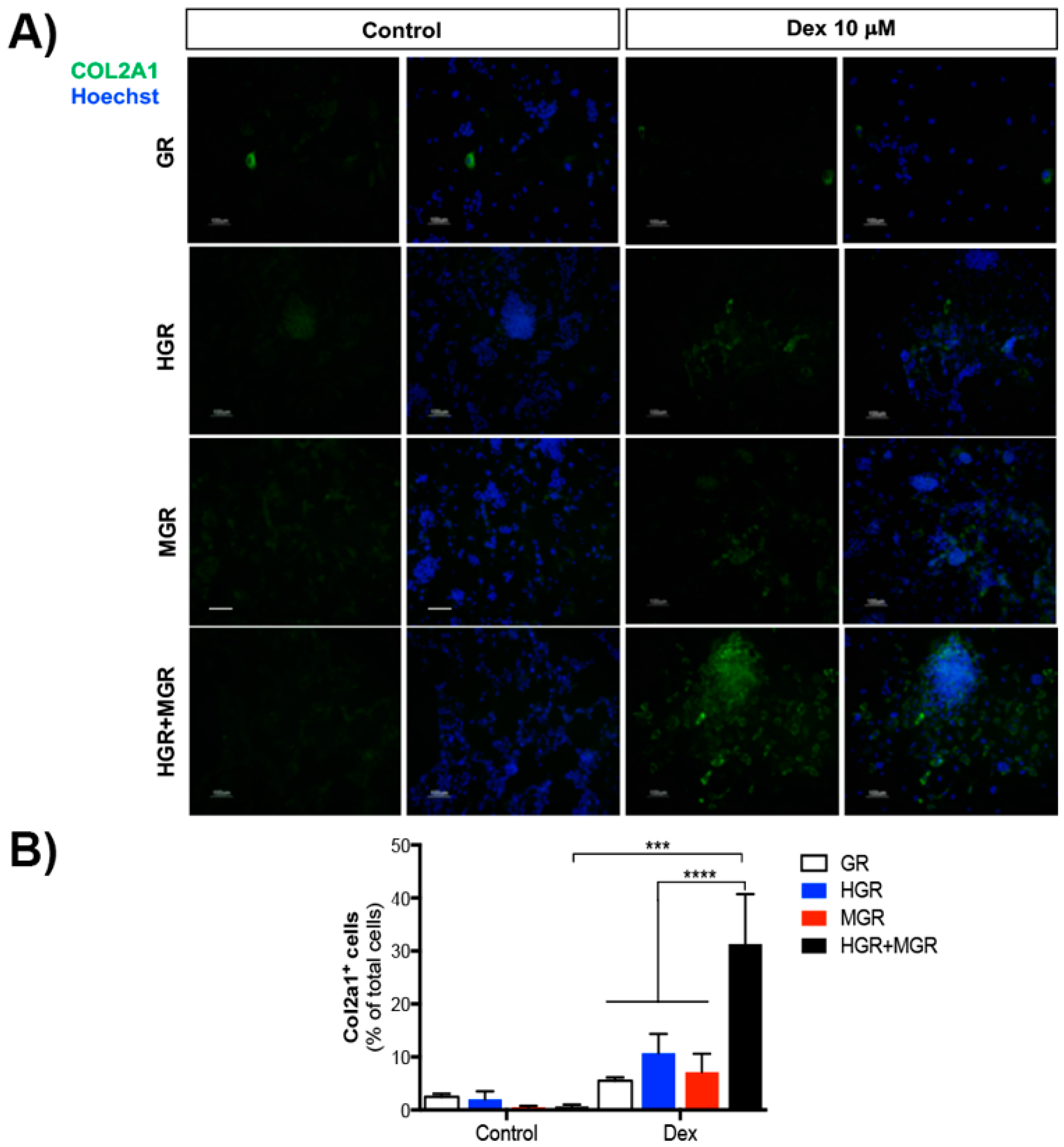 Ijms 19 04025 g009 Ijms 19 04025 g009