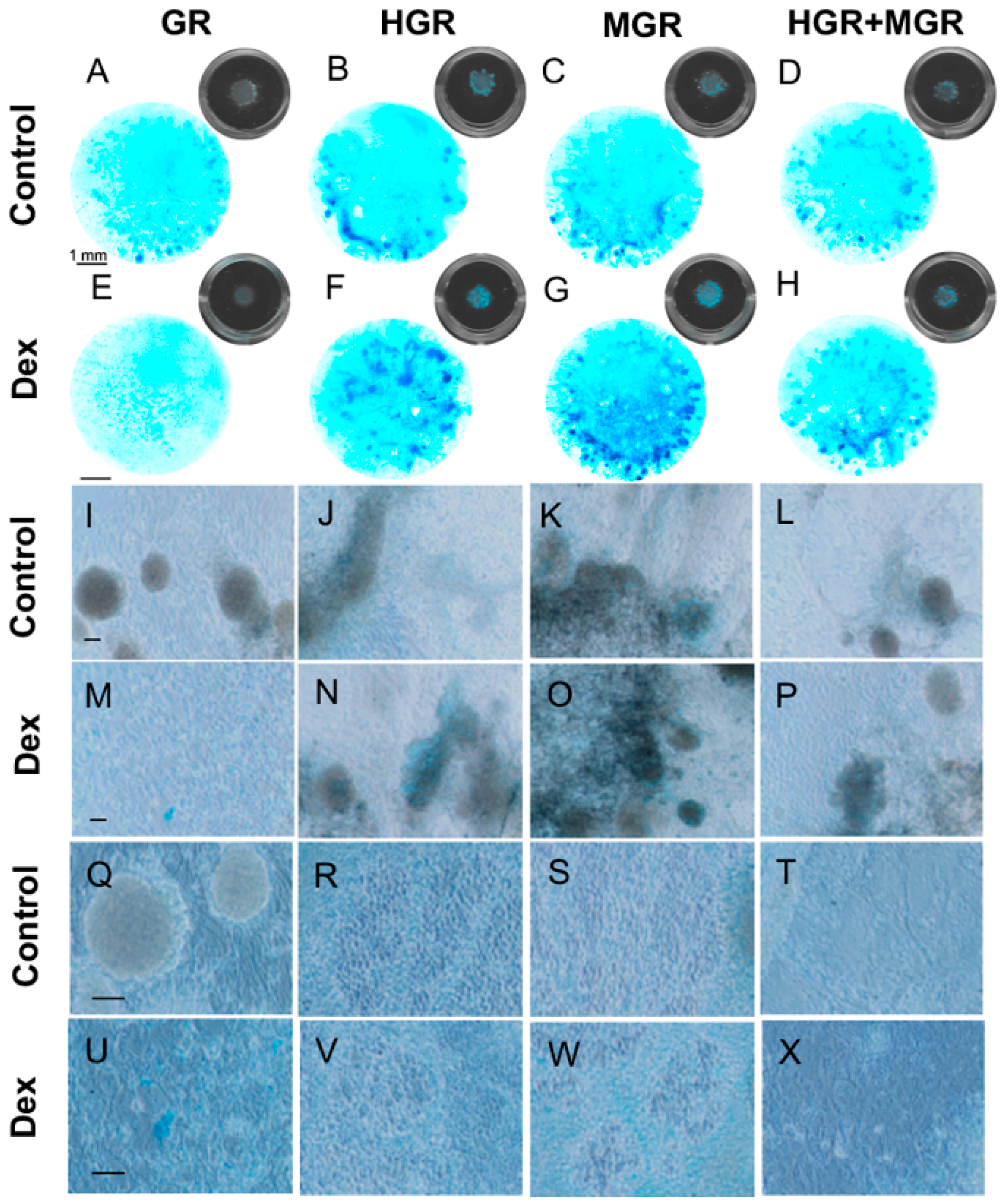 Ijms 19 04025 g010 Ijms 19 04025 g010