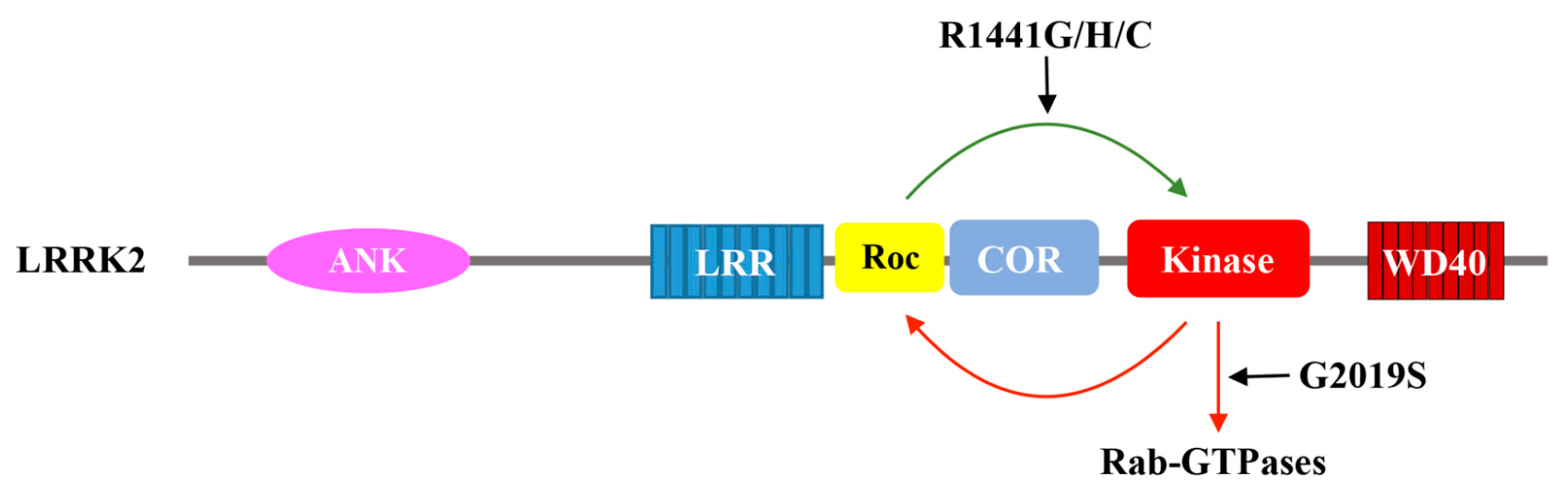 Ijms 19 04074 g003 Ijms 19 04074 g003
