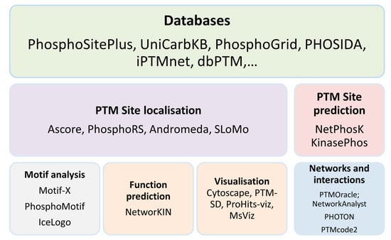 Ijms Free Full Text Clinically Relevant Post Translational Modification Analyses Maturing Workflows And Bioinformatics Tools Html