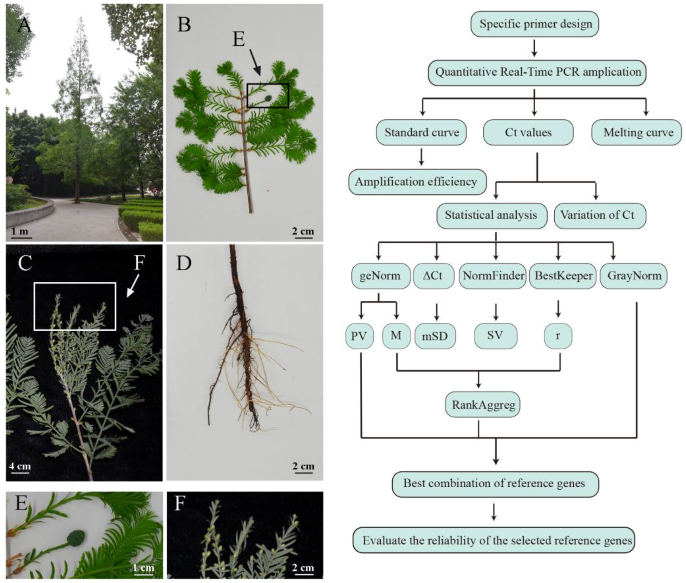 Ijms 20 00034 g001 Ijms 20 00034 g001