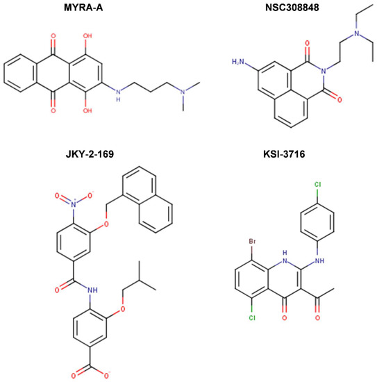 Ijms Free Full Text Therapeutic Inhibition Of Myc In Cancer Structural Bases And Computer Aided Drug Discovery Approaches Html