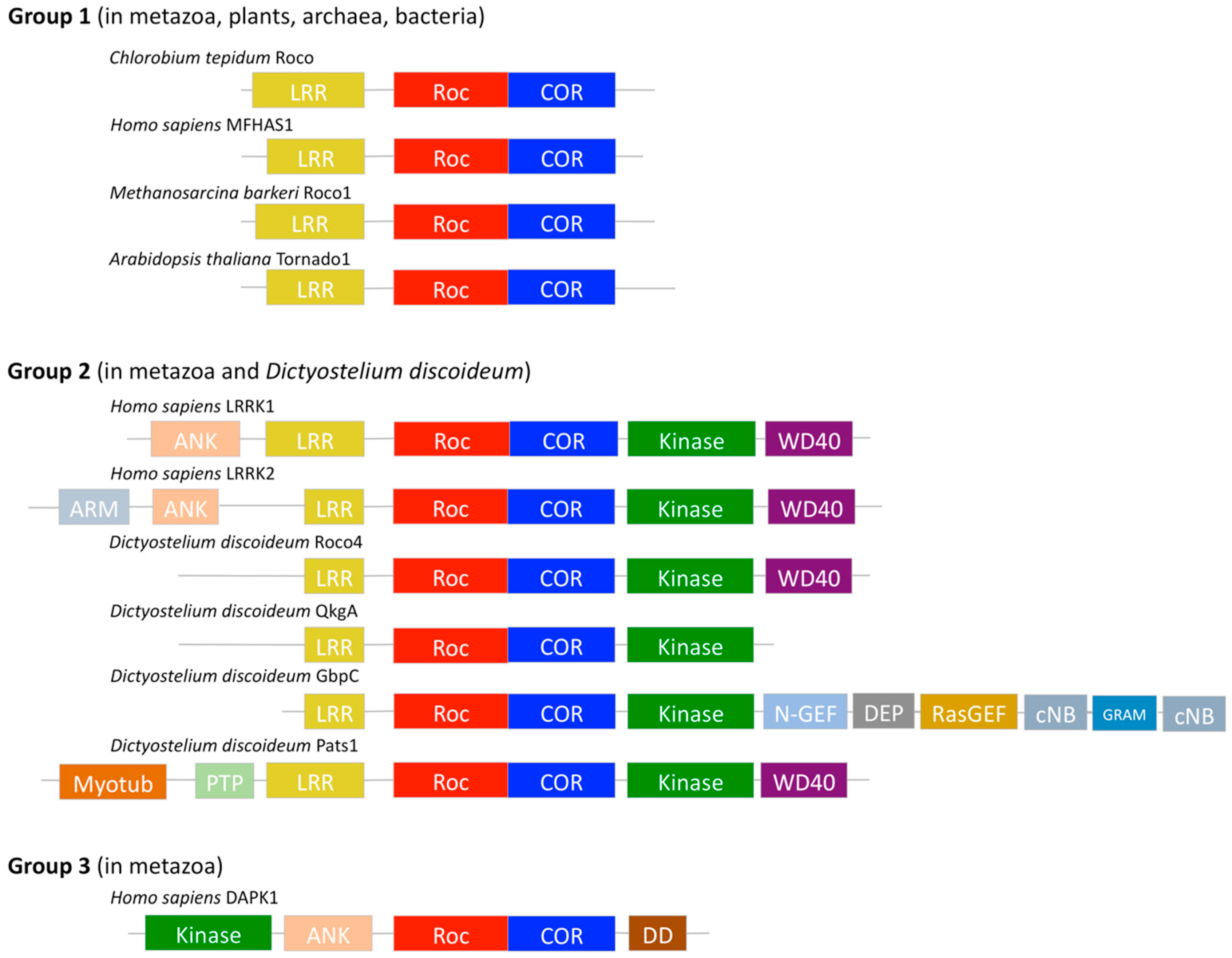 Ijms 20 00147 g001 Ijms 20 00147 g001