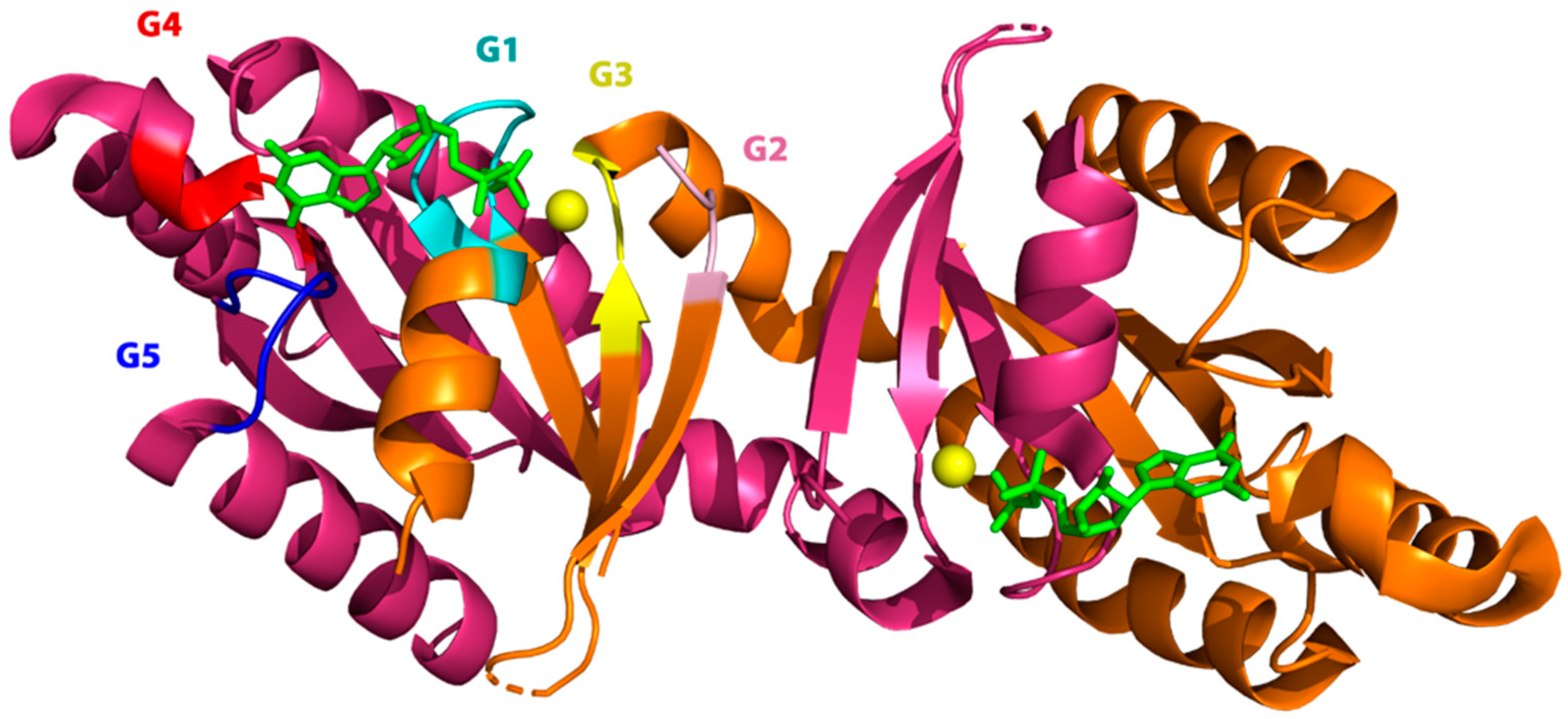 Ijms 20 00147 g002 Ijms 20 00147 g002